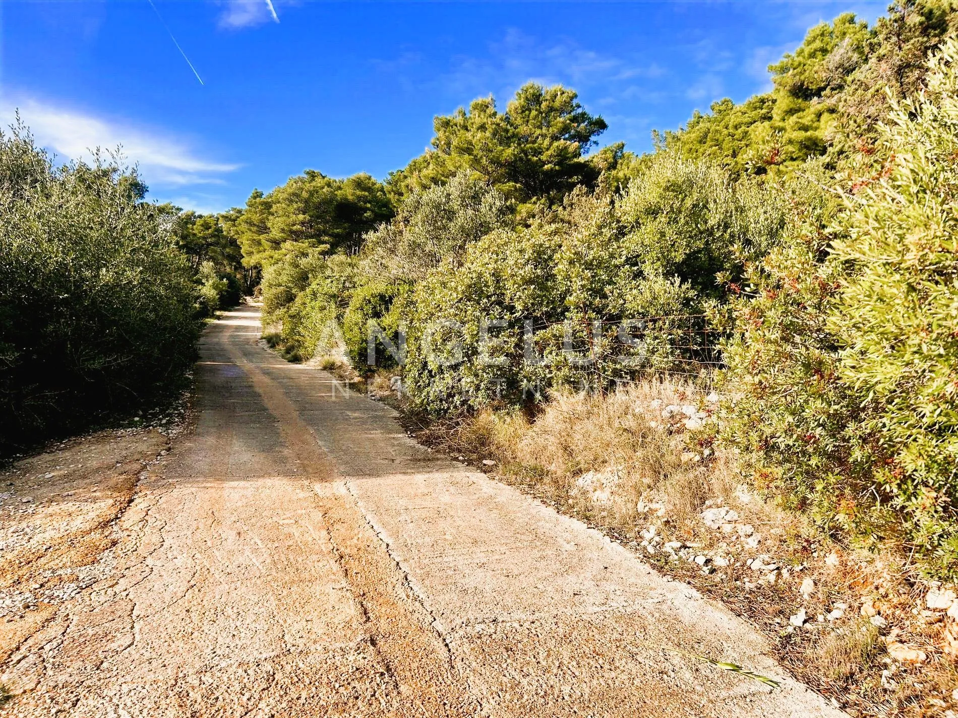 brač, sumartin - građ.zem. sa pogledom na more, prodaja - slika 42