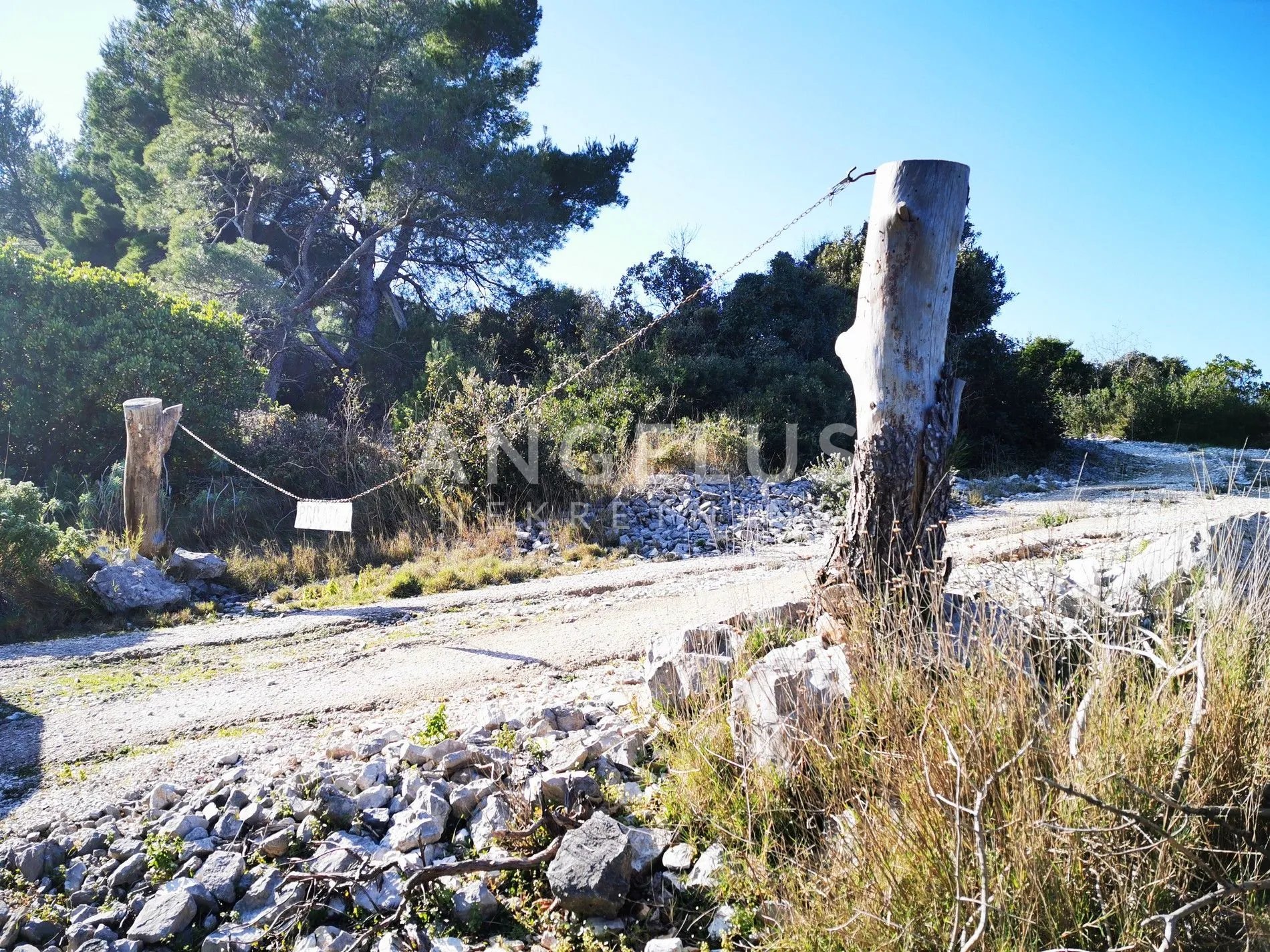 šolta - uređeni maslinik sa pogledom na more, 4800 m2 - slika 51