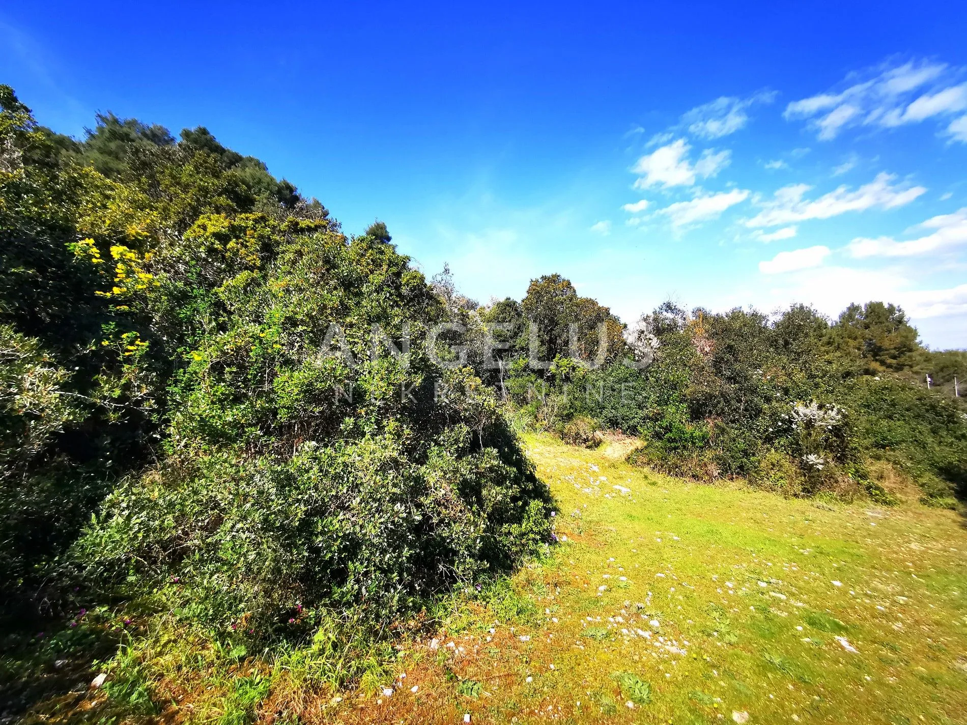 šolta, nečujam - poljoprivredno zemljište sa pogledom, 13000 m2, prodaja - slika 2
