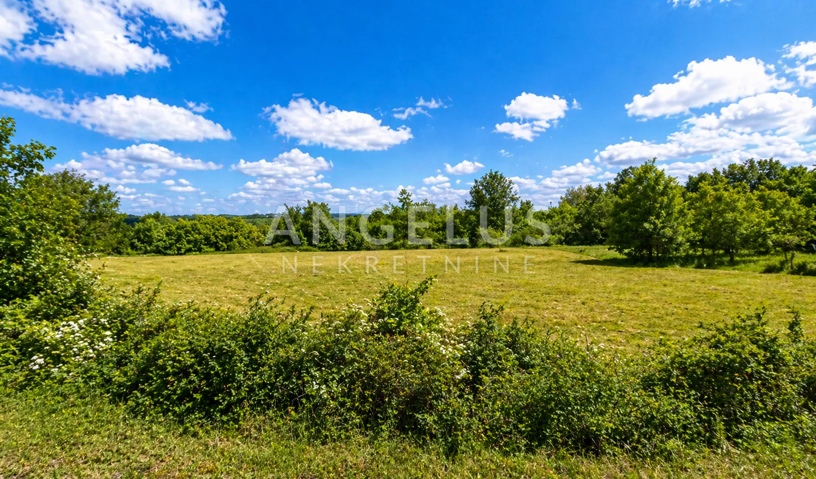 istra, baderna - poljoprivredno zemljište 3750m2 - slika 3