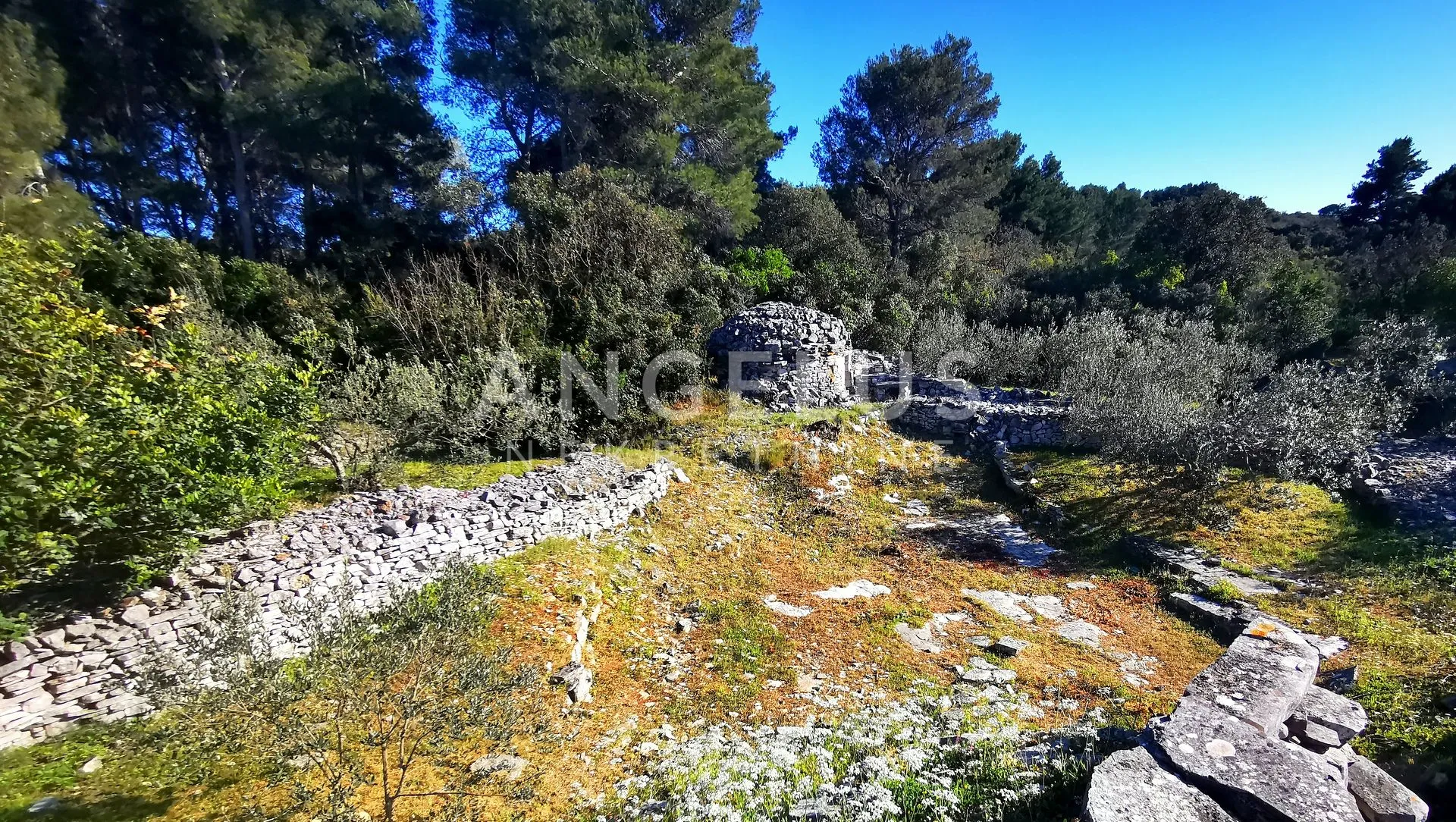 šolta, nečujam - građ.zemljište sa pogledom na more, 5100 m2 - slika 12