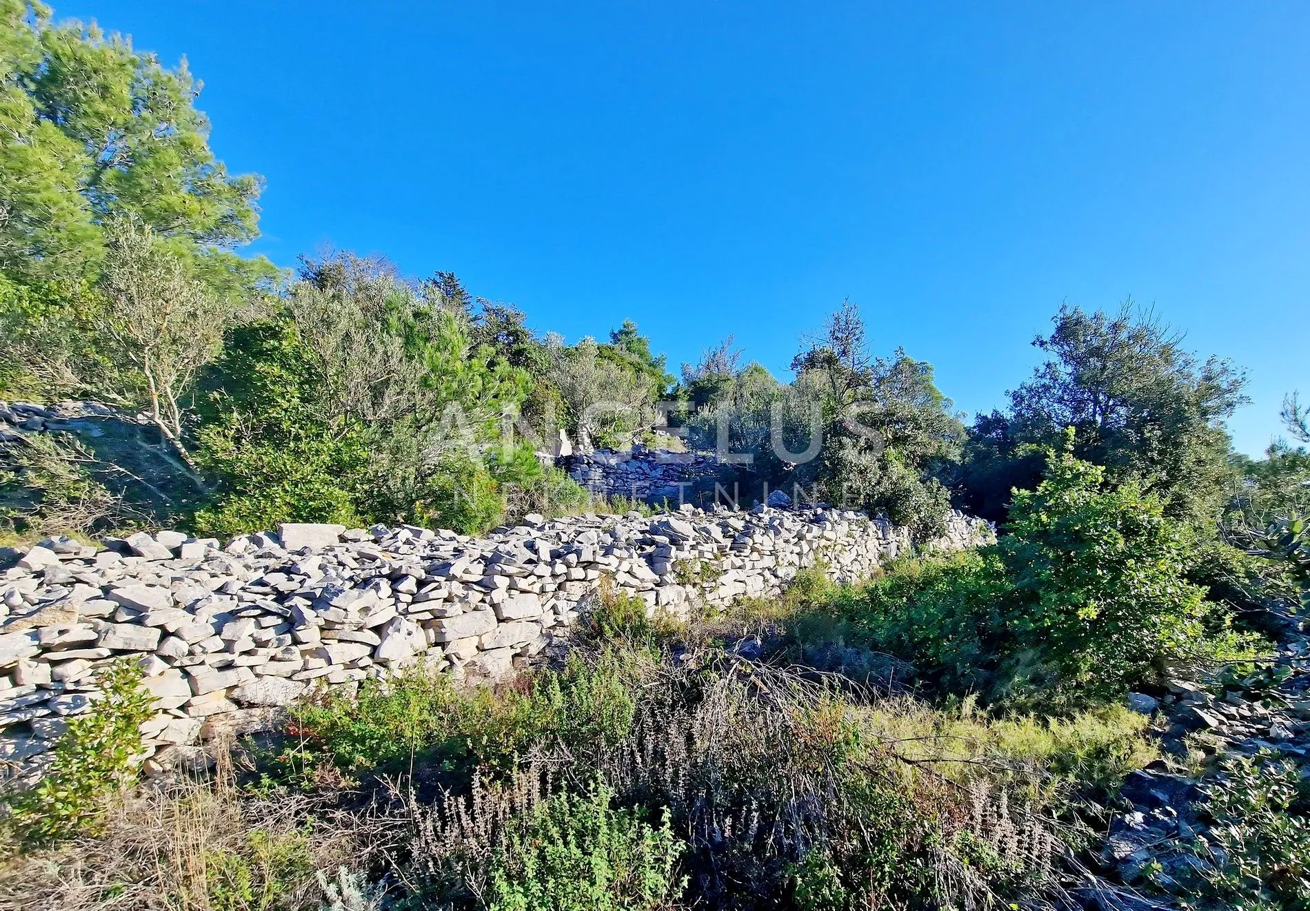 otok korčula, vela luka – građevno zemljište s pogledom na more – 960 m2 - slika 4
