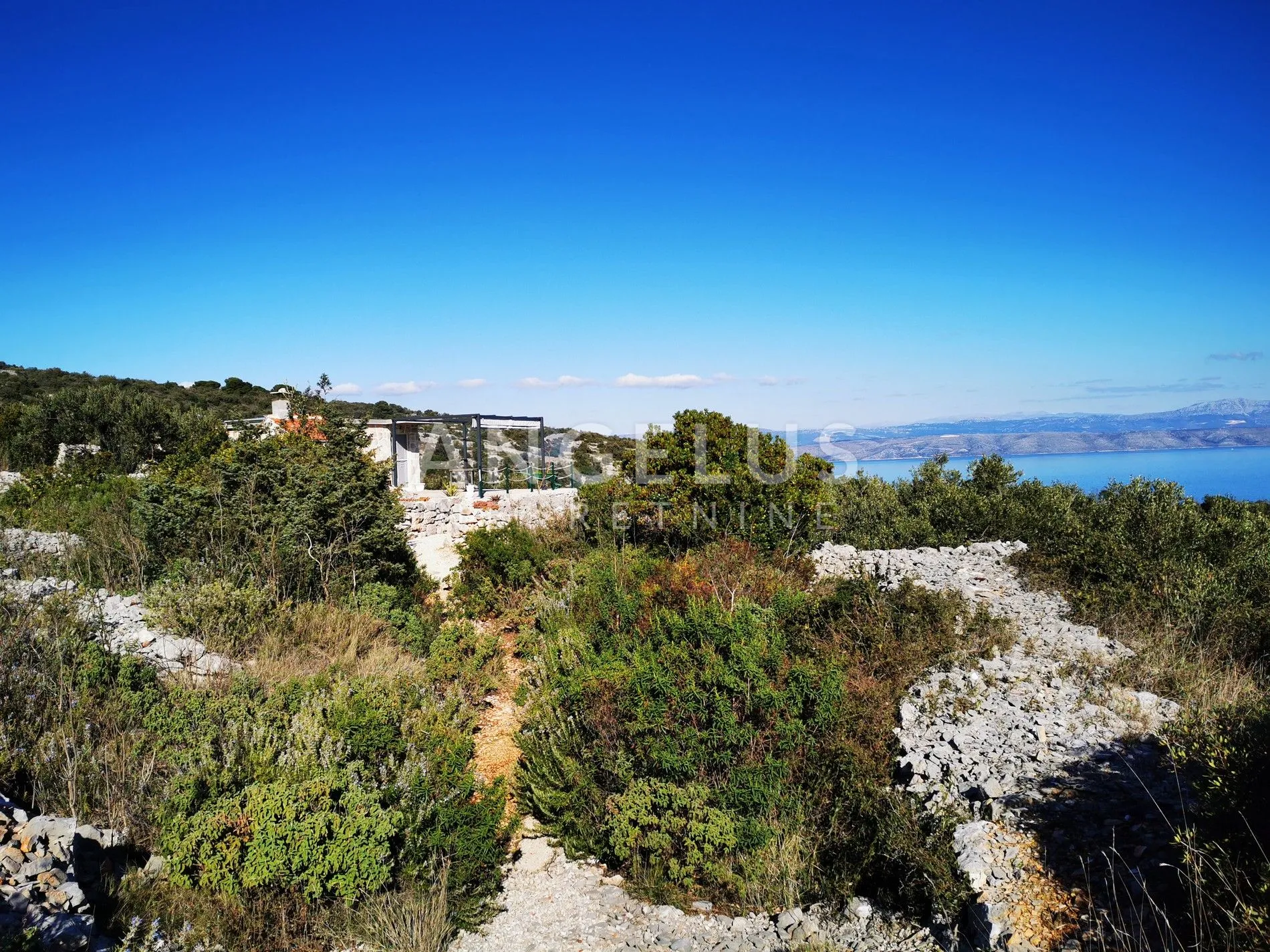 šolta - uređeni maslinik sa pogledom na more, 4800 m2 - slika 12
