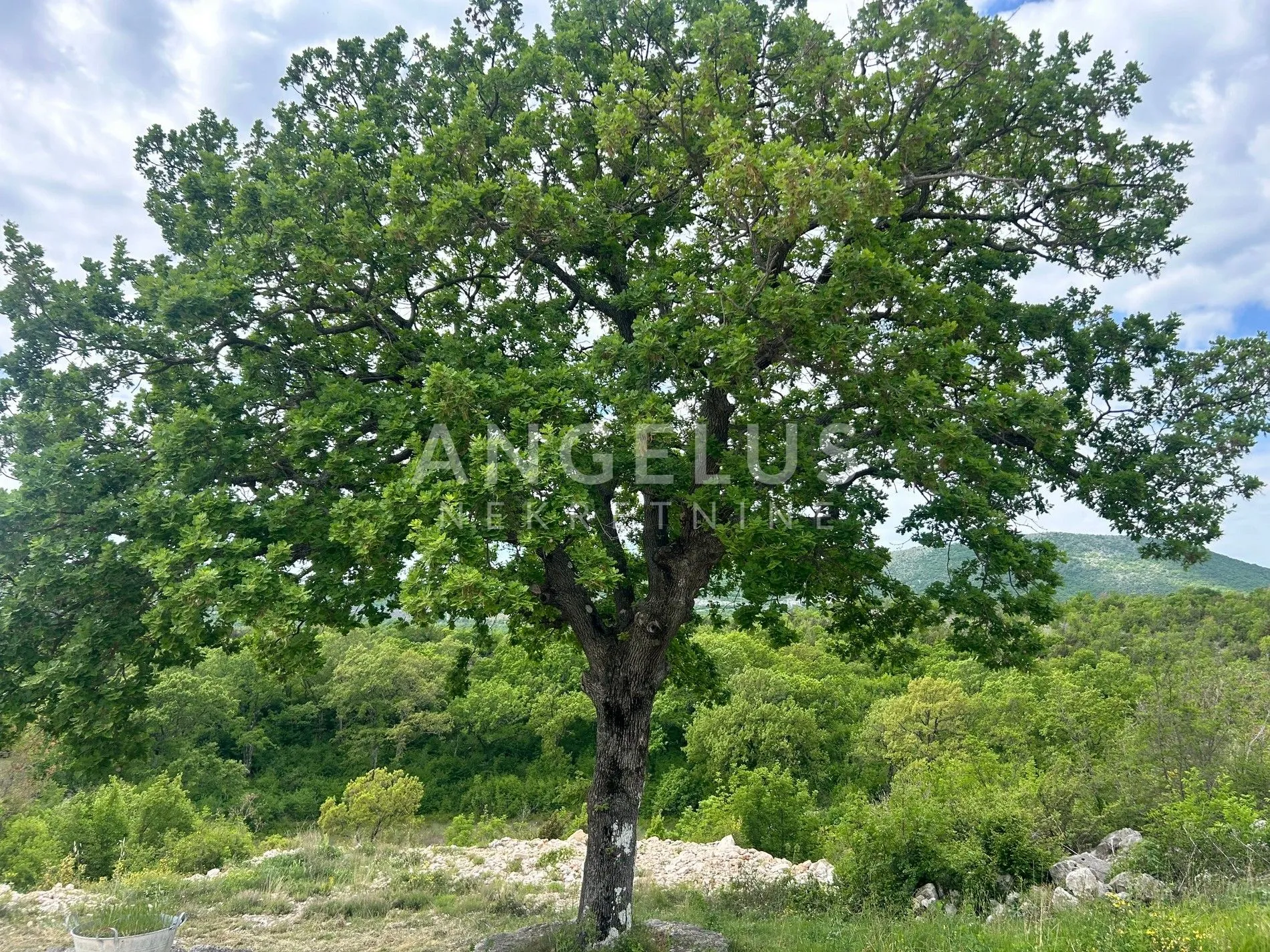 Trolokve - poljoprivredno zem sa kamenom kućom, 26.000 m2, PRODAJA - Trolokve, Prgomet