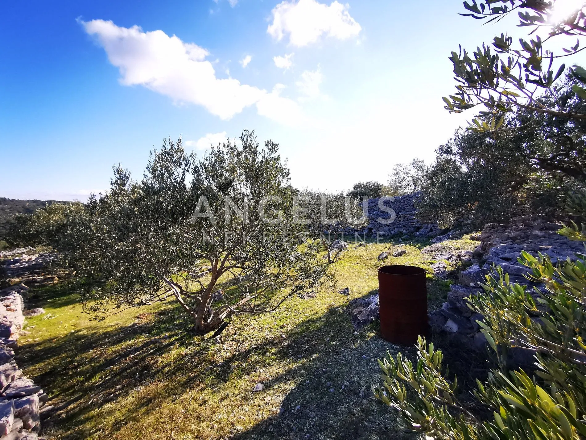 šolta - uređeni maslinik sa pogledom na more, 4800 m2 - slika 47