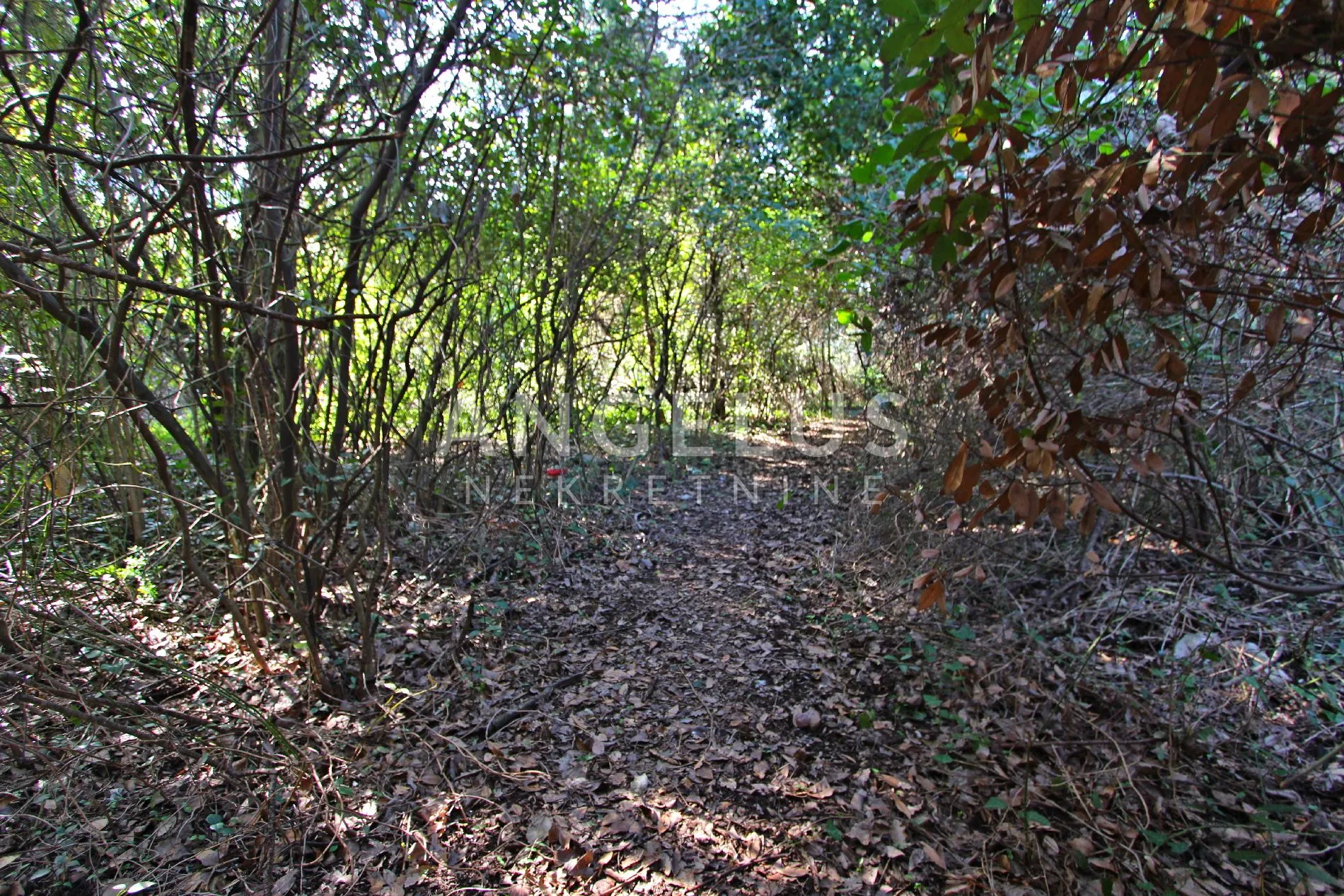 pelješac, duba stonska - građevinsko zemljište, 1500 m2 - slika 17