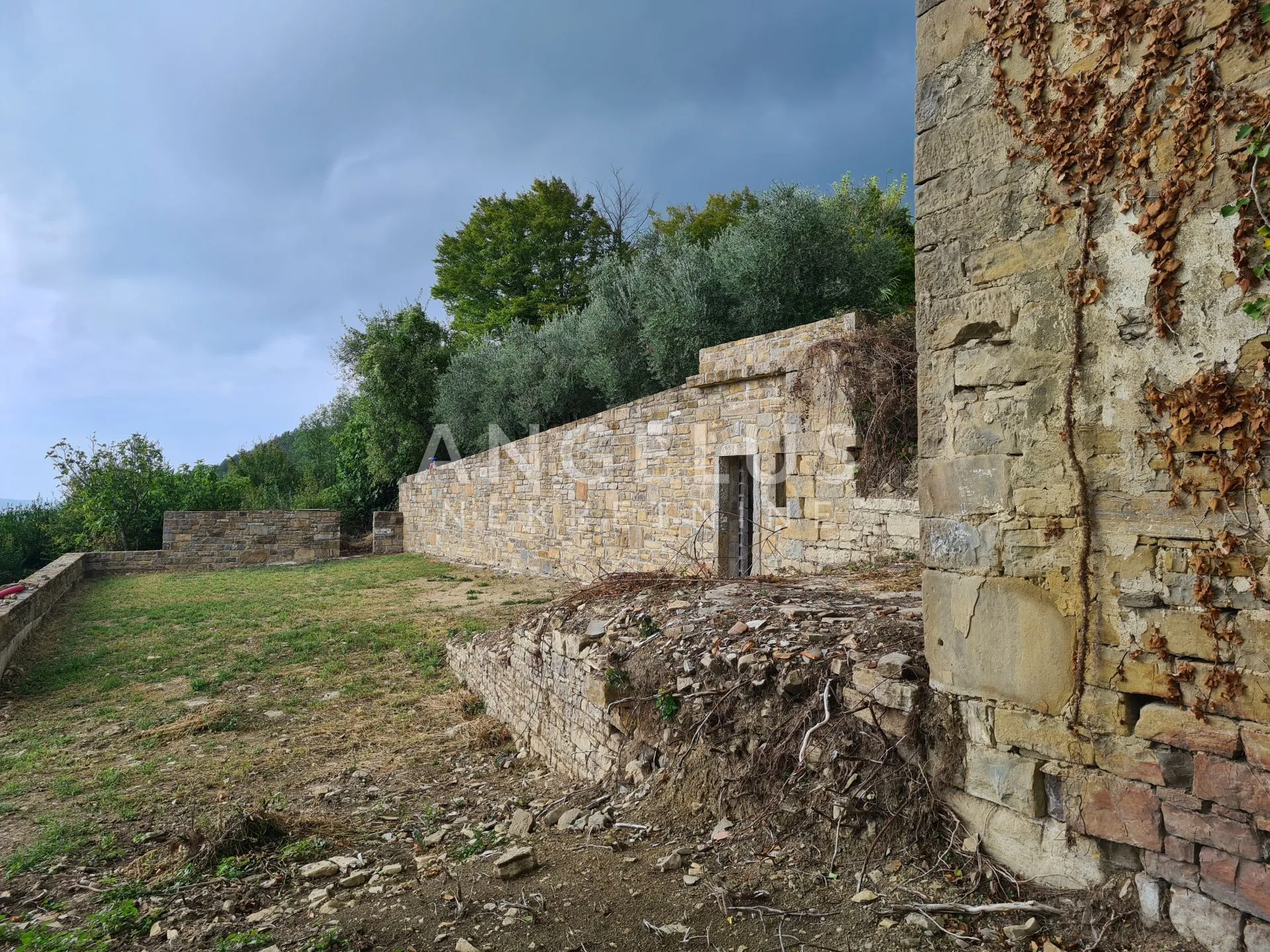 istra, motovun - imanje s objektima, 620m2 - slika 4
