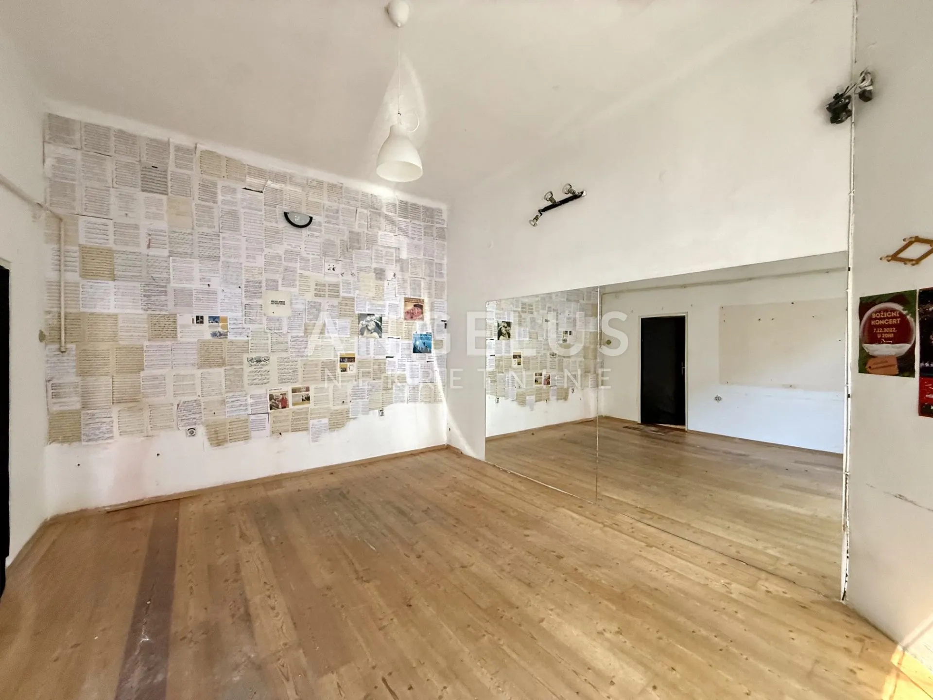 zagreb, centar - martićeva ulica, dvorišni lokal, 40m2, - slika 7