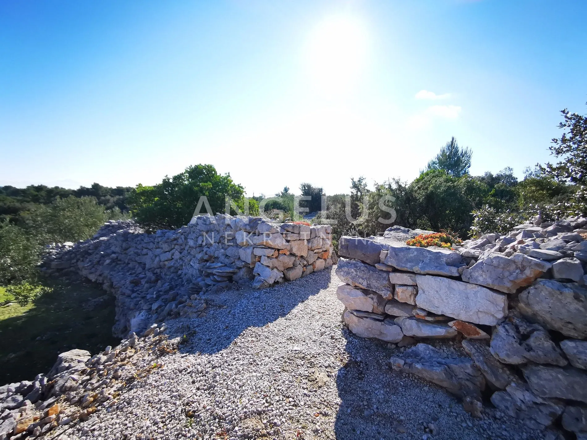 šolta - uređeni maslinik sa pogledom na more, 4800 m2 - slika 19
