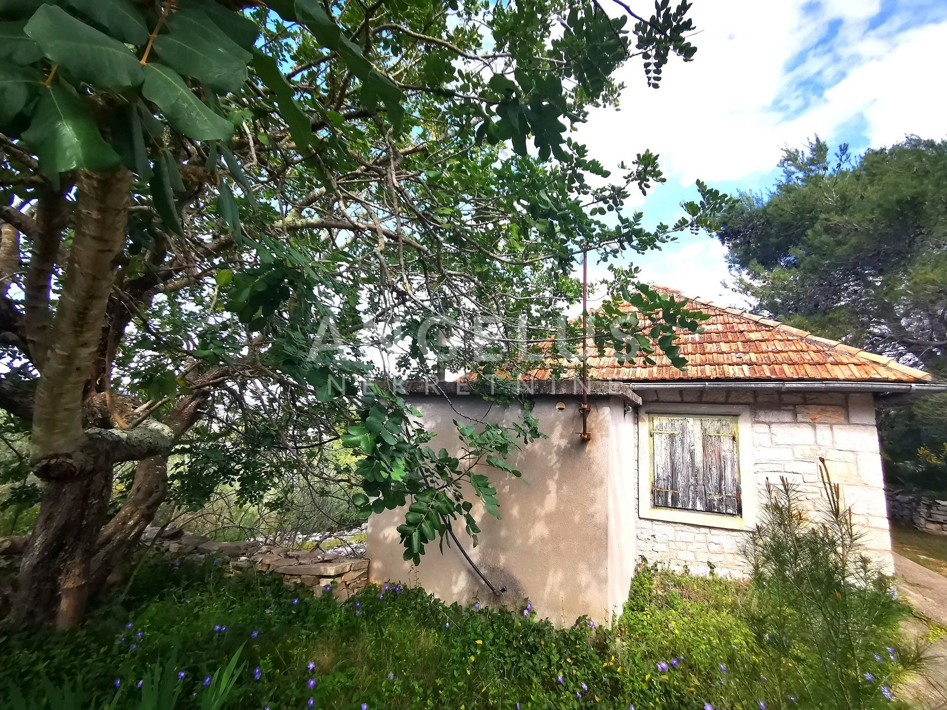 Šolta, Nečujam- građ.zemljište u centru mjesta, 8000m2, PRODAJA - Nečujam, Šolta
