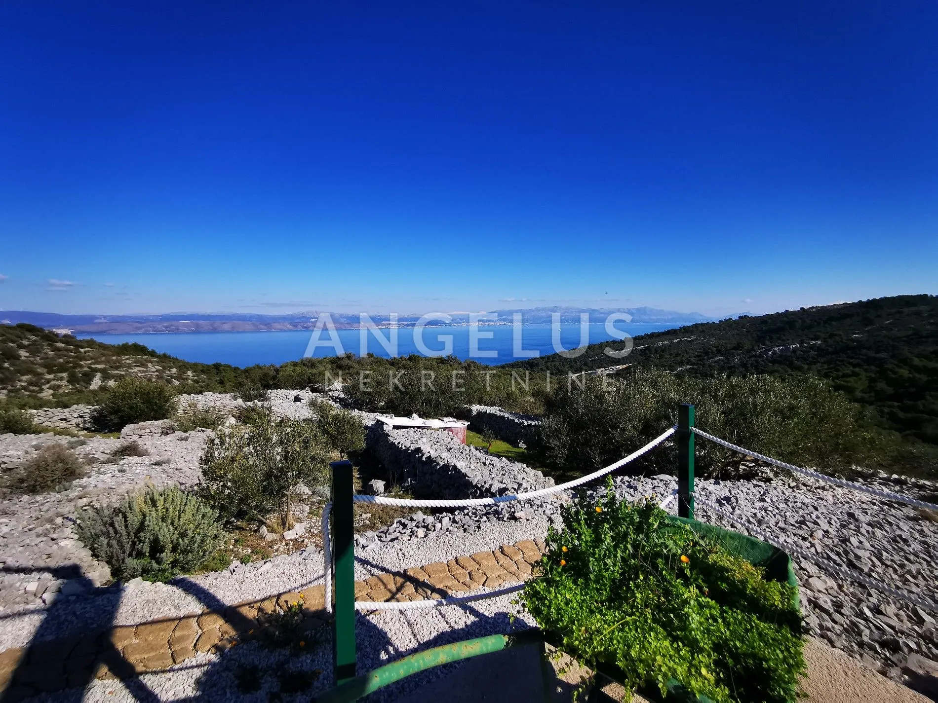 šolta - uređeni maslinik sa pogledom na more, 4800 m2 - slika 23
