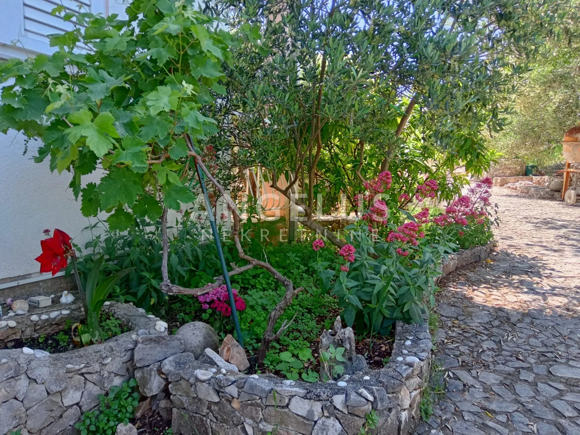 čiovo, slatine - apartmanska kuća sa bazenom prodaja - slika 14