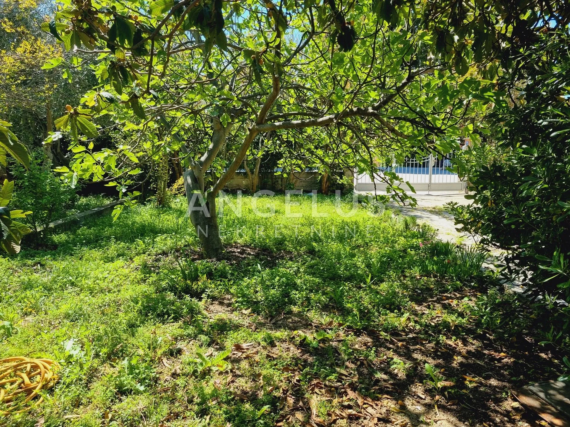 kaštel lukšić - kamena kuća, okućnica i građ. zemljište - slika 19