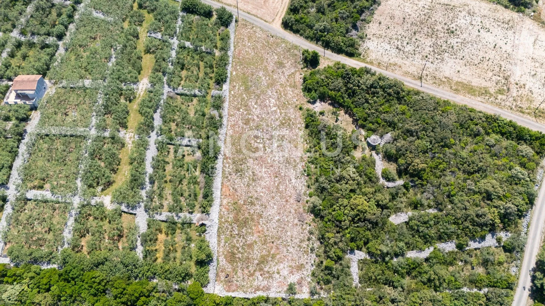 šolta, nečujam - građ.zem. u blizini mora, 2400 m2, prodaja - slika 5