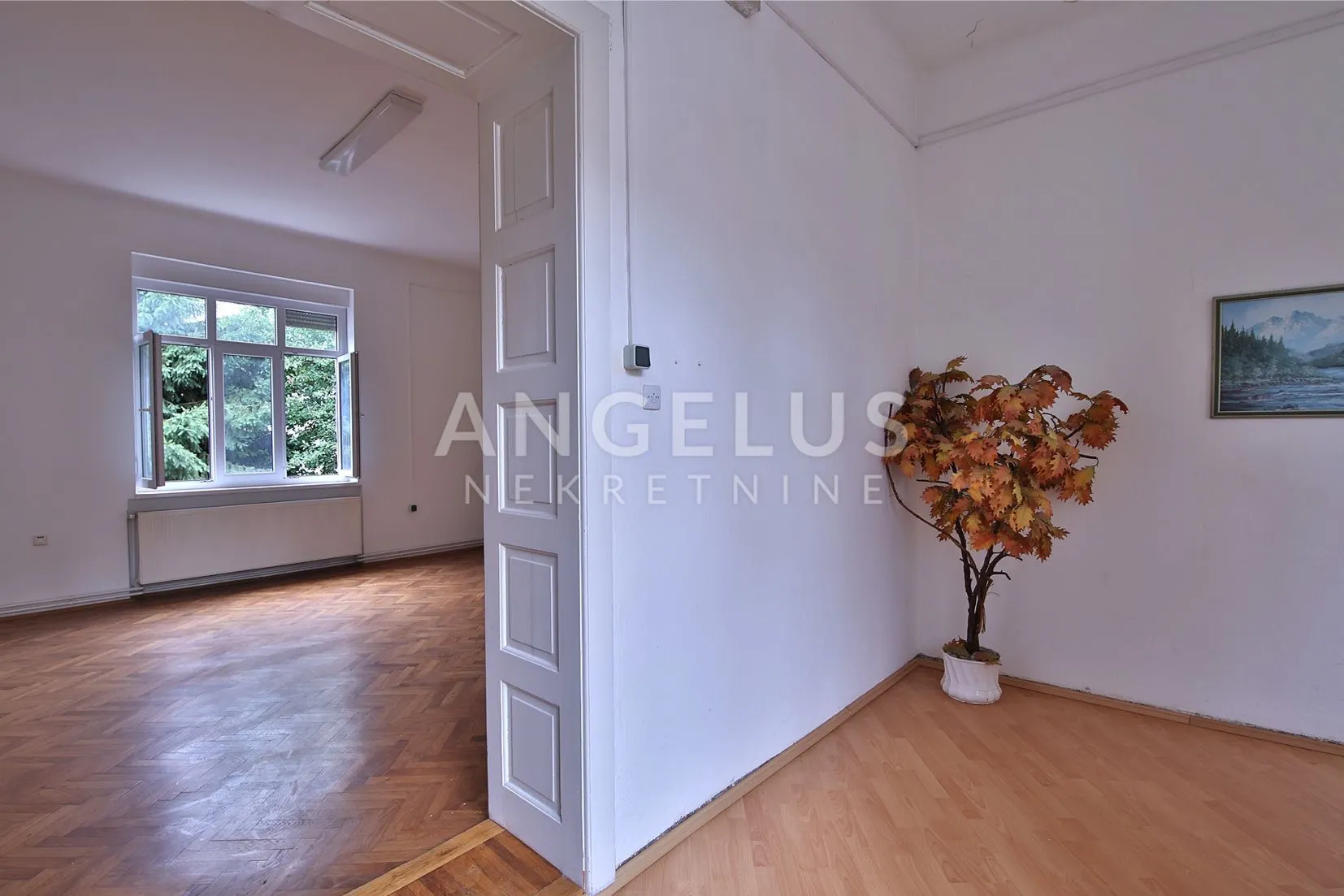 Karlovac, Centar - Zvjezda, predivan salonski stan 260m2 na top lokaciji