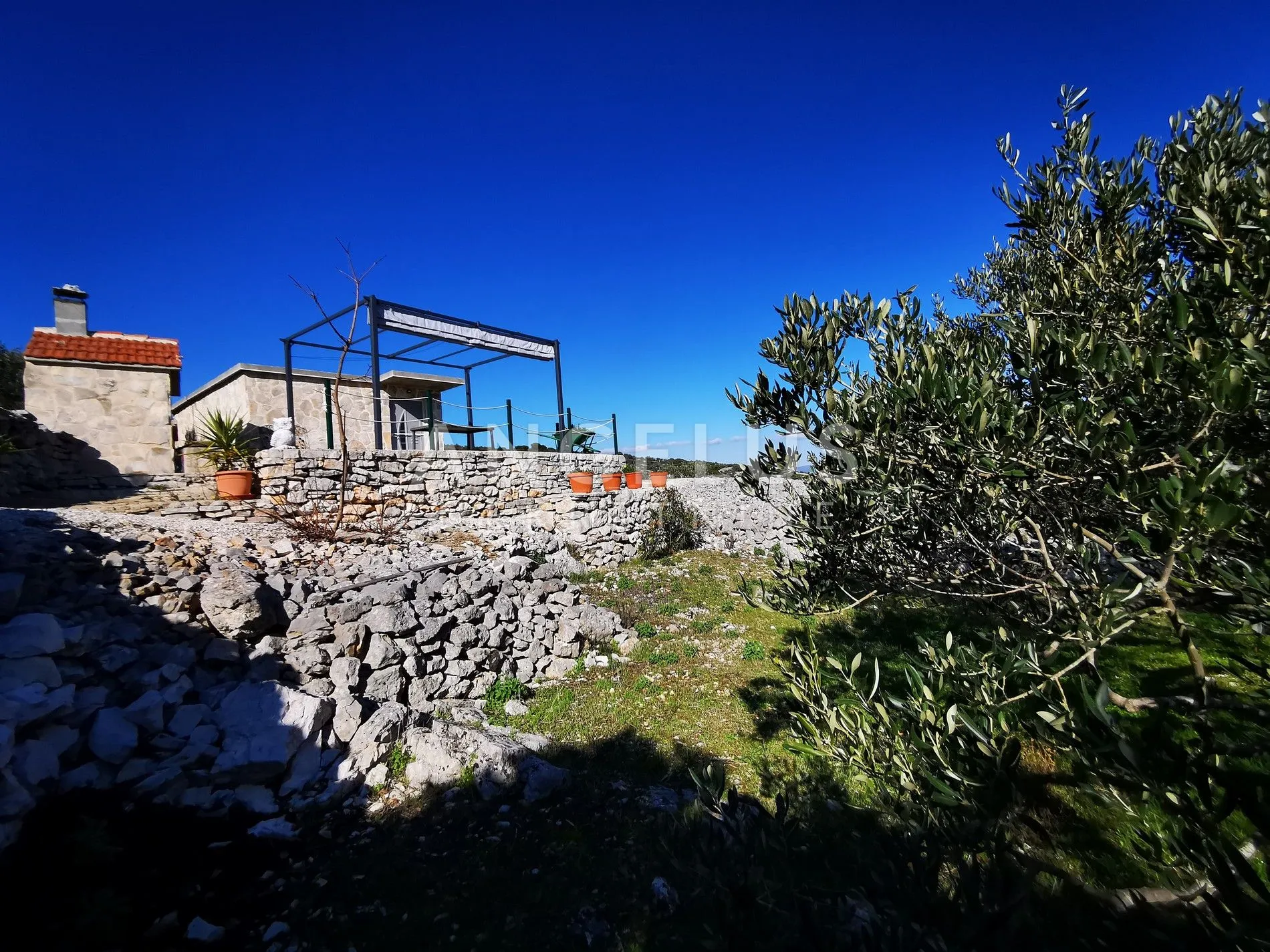 šolta - uređeni maslinik sa pogledom na more, 4800 m2 - slika 17