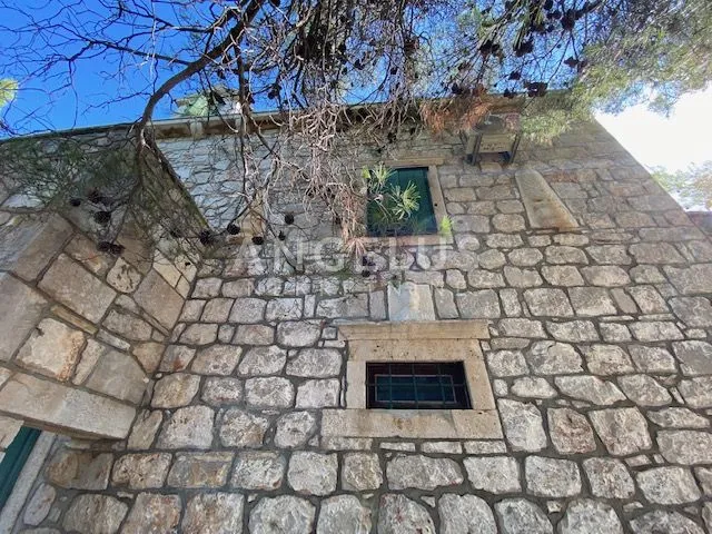 tisno - stara villa na parceli od 10.000m2 s vinogradom i maslinikom - slika 2