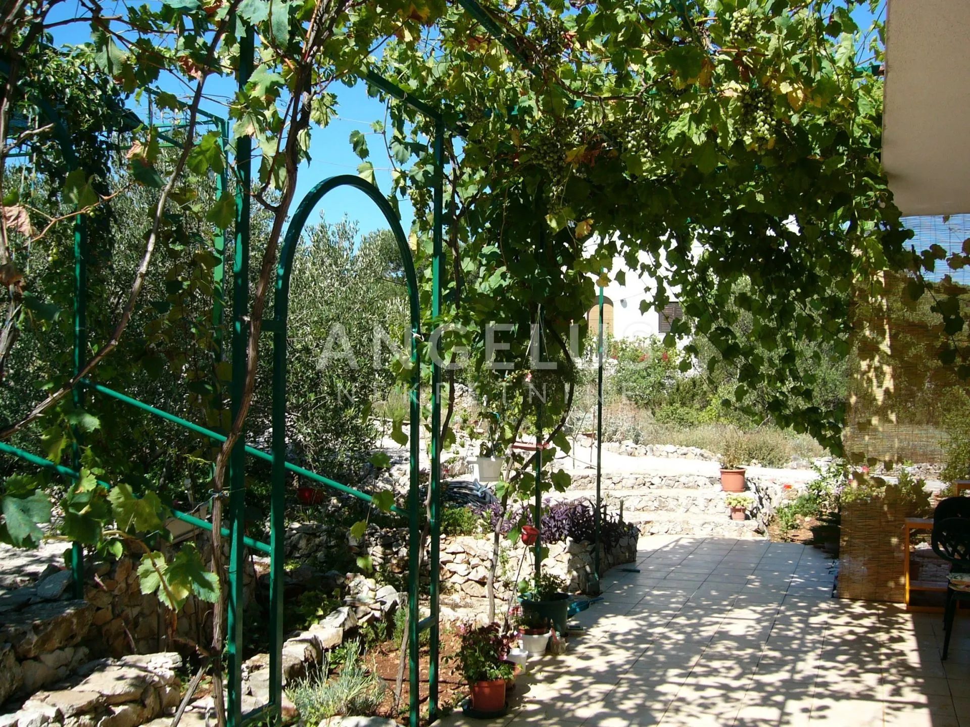 čiovo, slatine - apartmanska kuća sa bazenom prodaja - slika 6