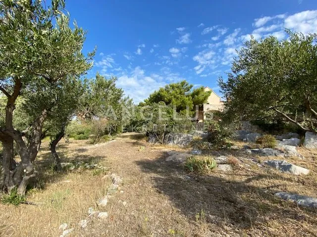 tisno - stara villa na parceli od 10.000m2 s vinogradom i maslinikom - slika 13