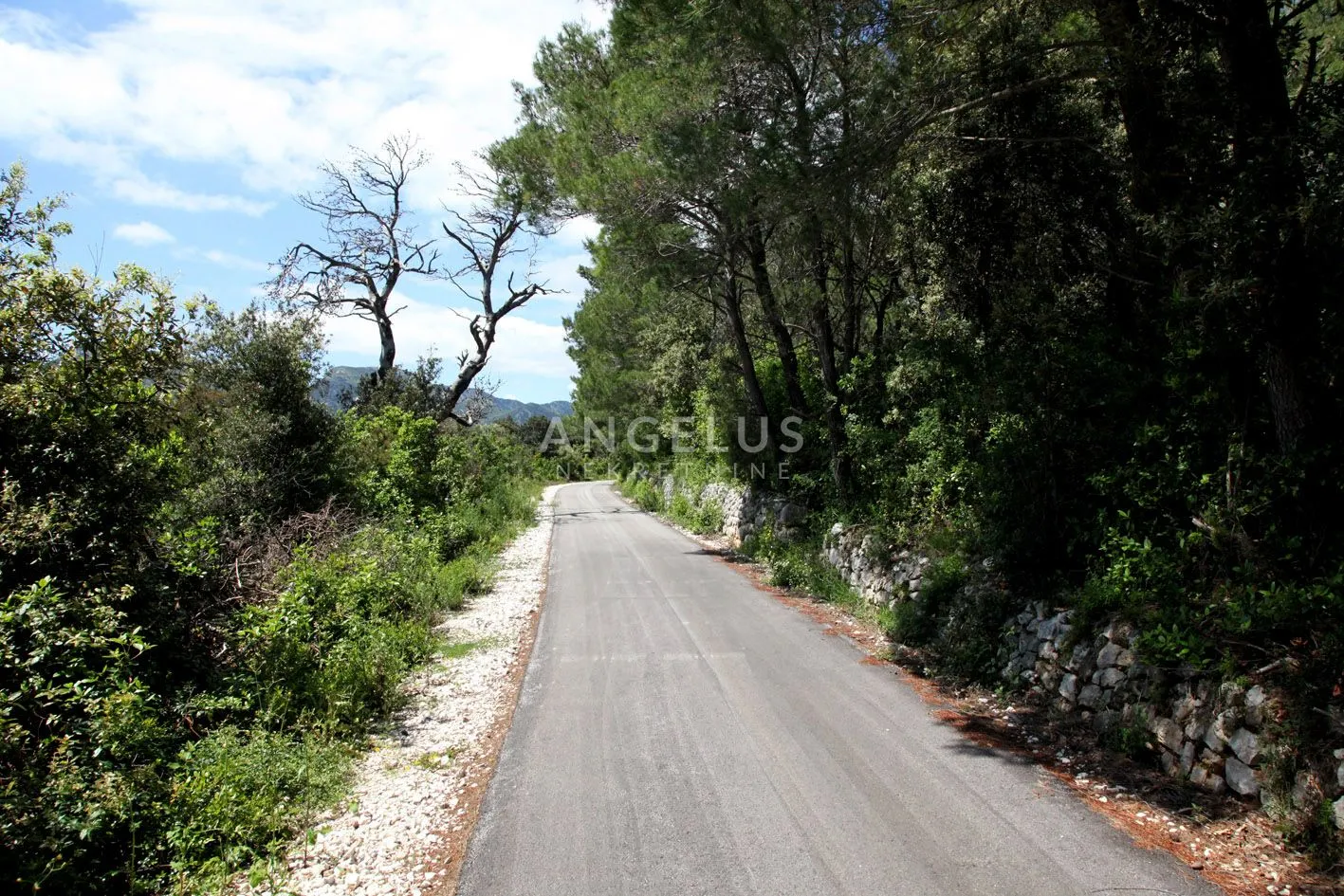 pelješac, ston – građevinsko zemljište na osami – posebna lokacija - slika 6