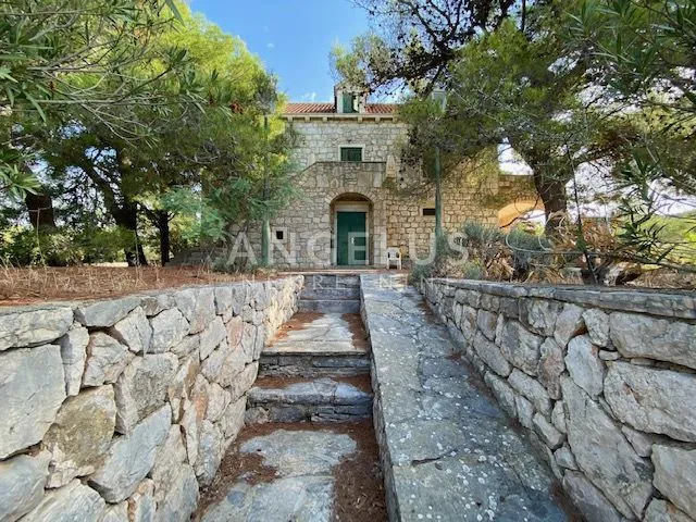 tisno - stara villa na parceli od 10.000m2 s vinogradom i maslinikom - slika 4