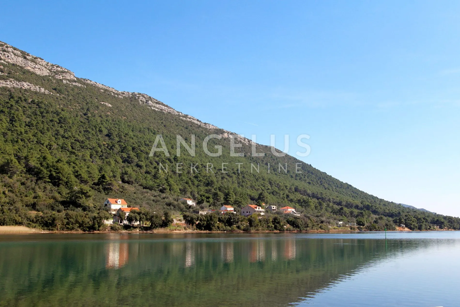 Pelješac, Ston - građevinsko zemljište južne orijentacije na blagoj padini, 22000 m2