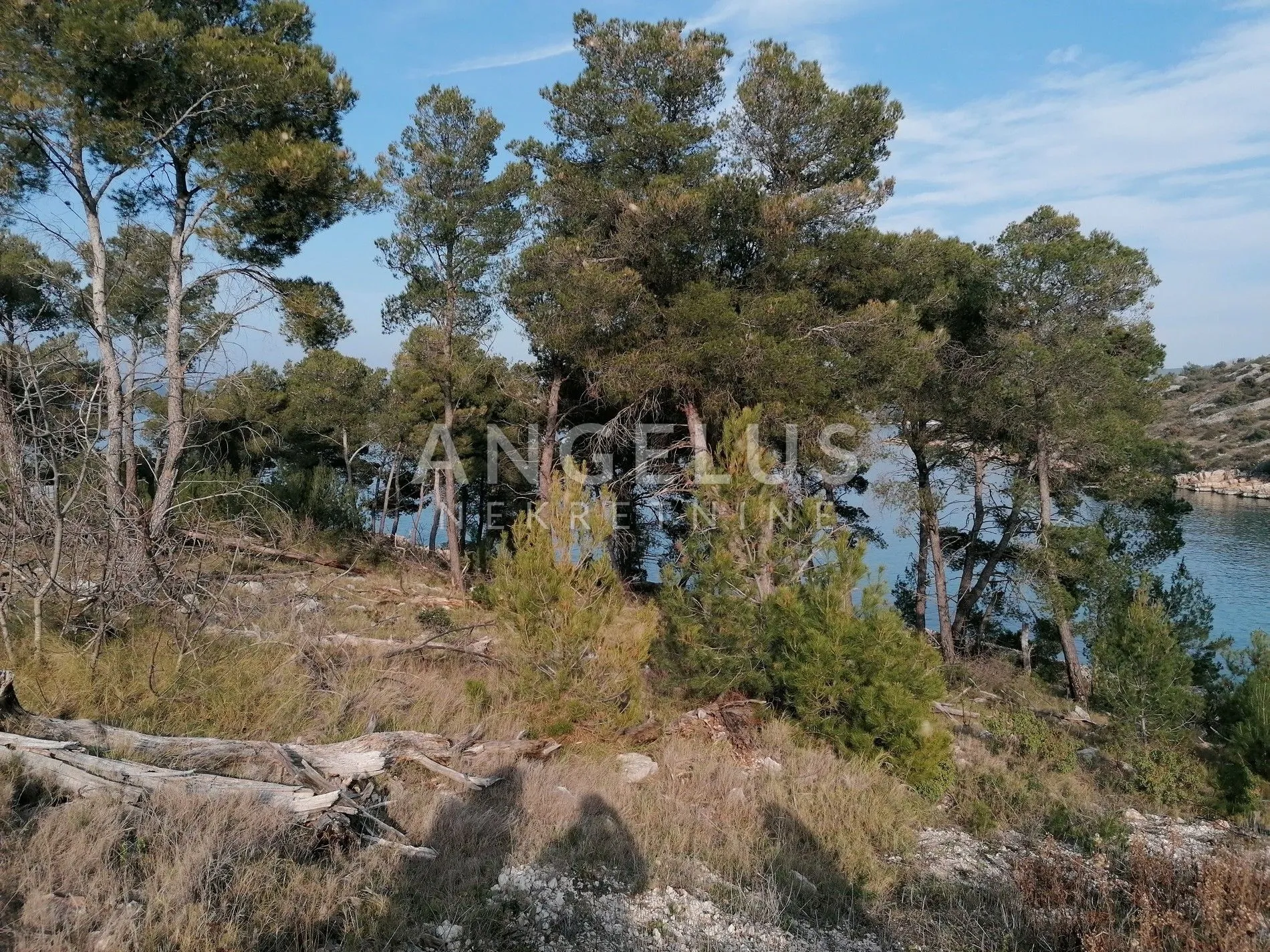 brač - polj.zem. sa objektom prvi red uz more, 2040 m2, prodaja - slika 11