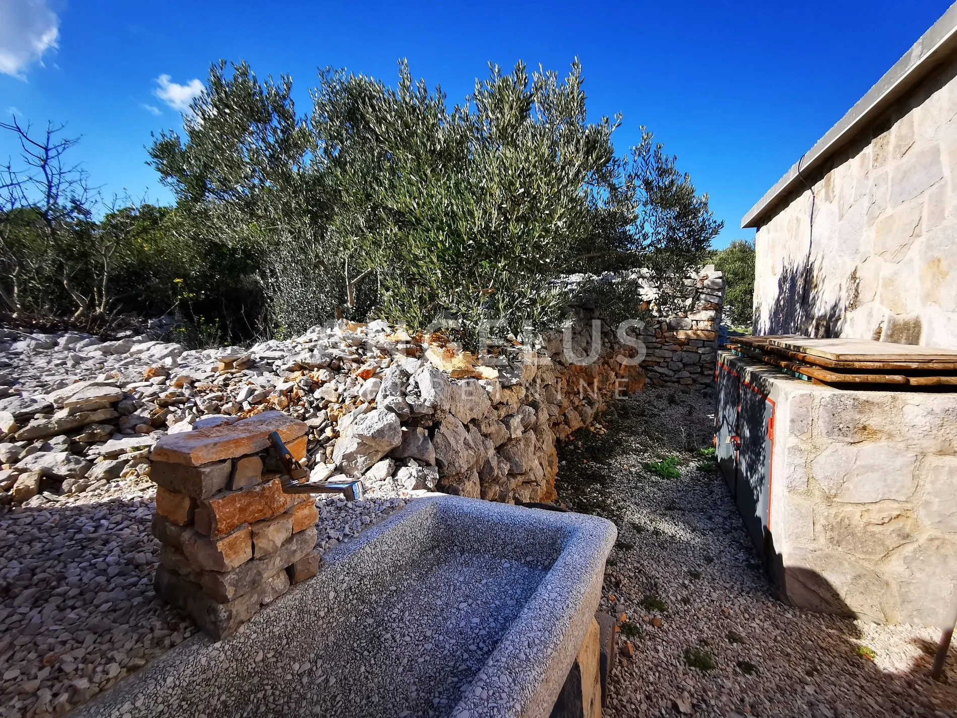 šolta - uređeni maslinik sa pogledom na more, 4800 m2 - slika 21