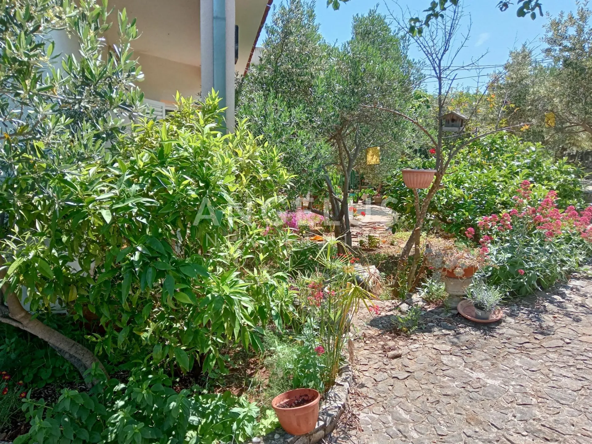 čiovo, slatine - apartmanska kuća sa bazenom prodaja - slika 13