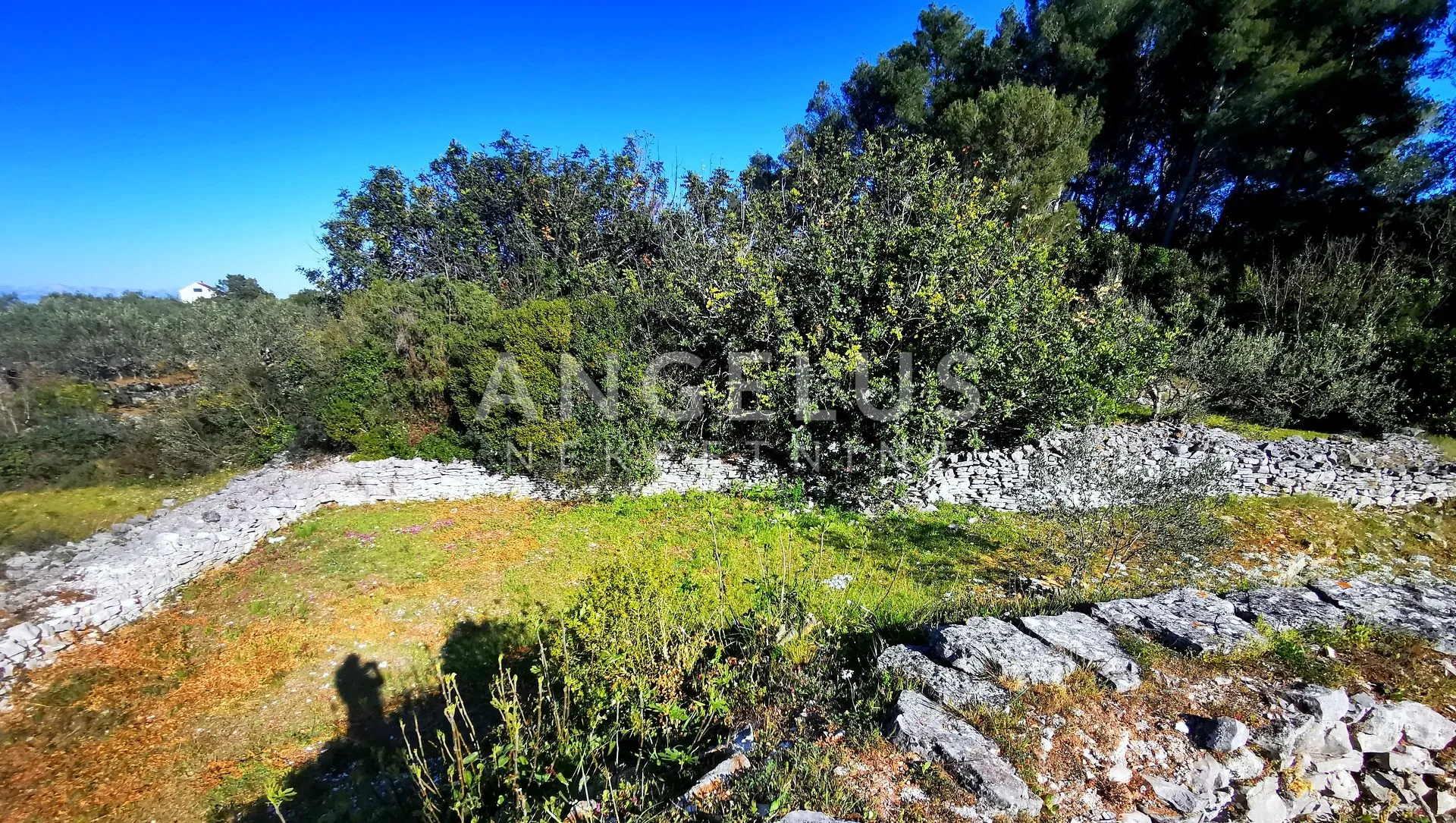 šolta, nečujam - građ.zemljište sa pogledom na more, 5100 m2 - slika 11