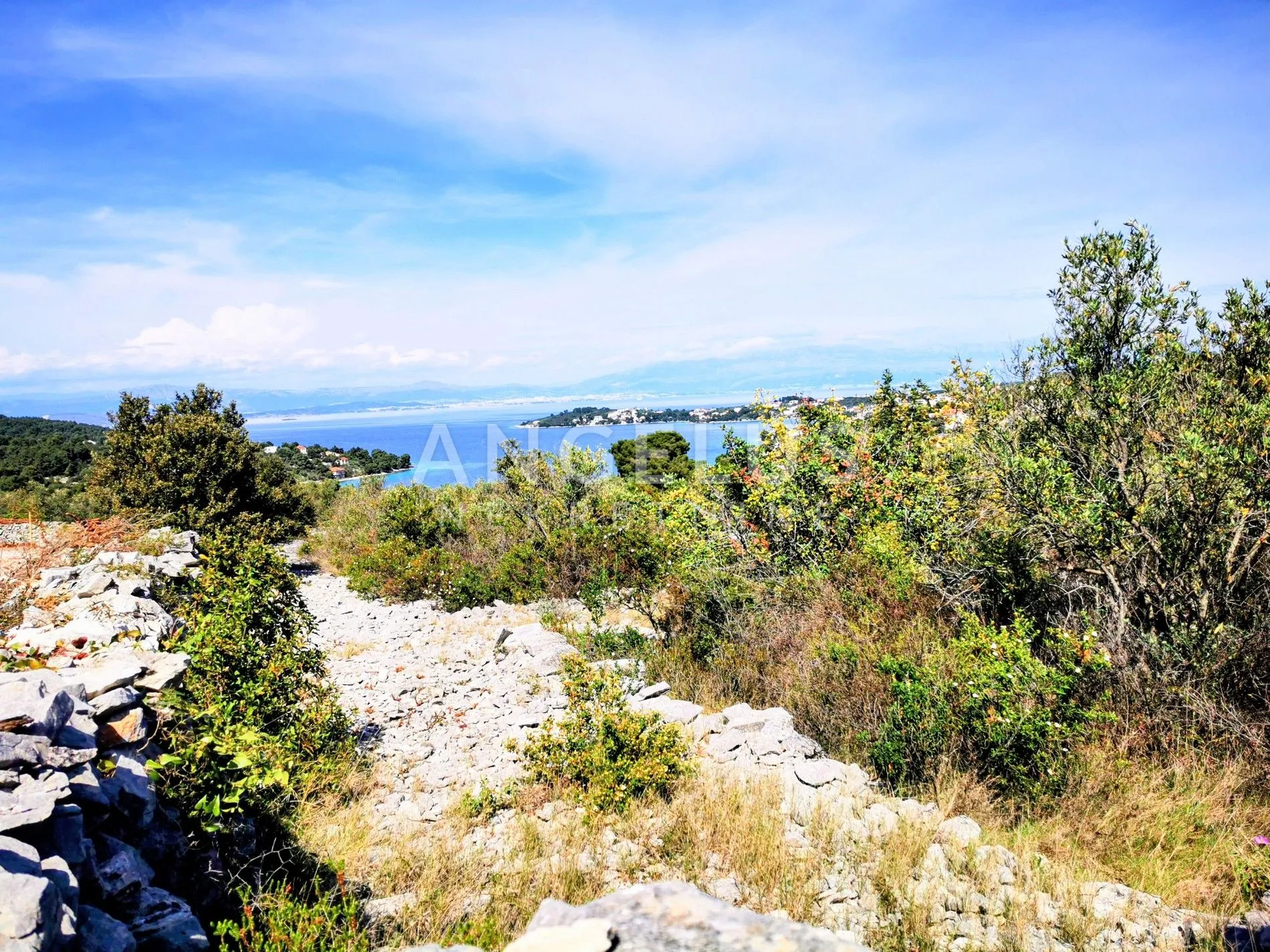 Šolta, Nečujam - maslinik sa 240 stabala, 8200 m2, PRODAJA - Nečujam, Šolta