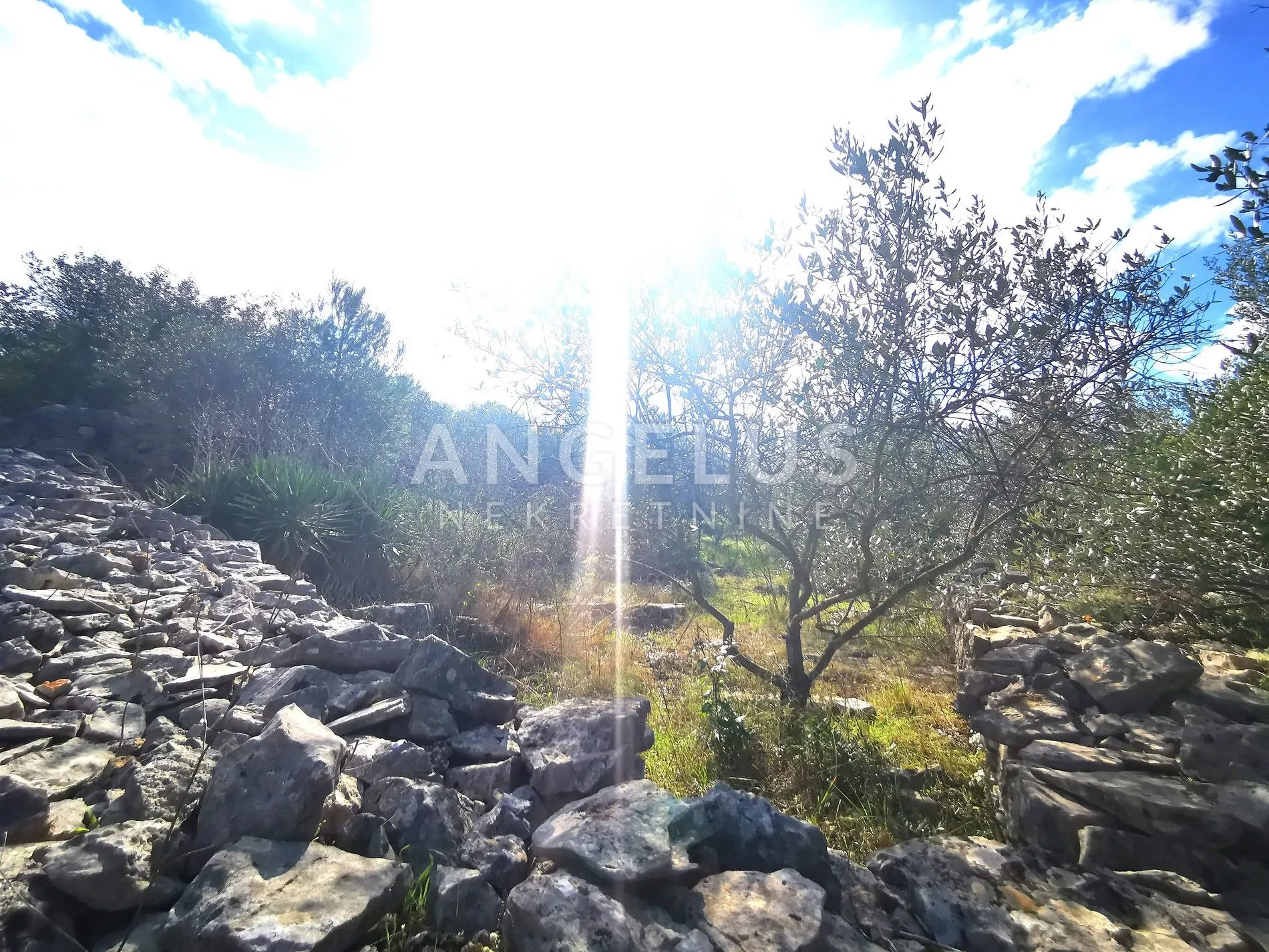 šolta, nečujam- građ.zemljište u centru mjesta, 8000m2, prodaja - slika 16