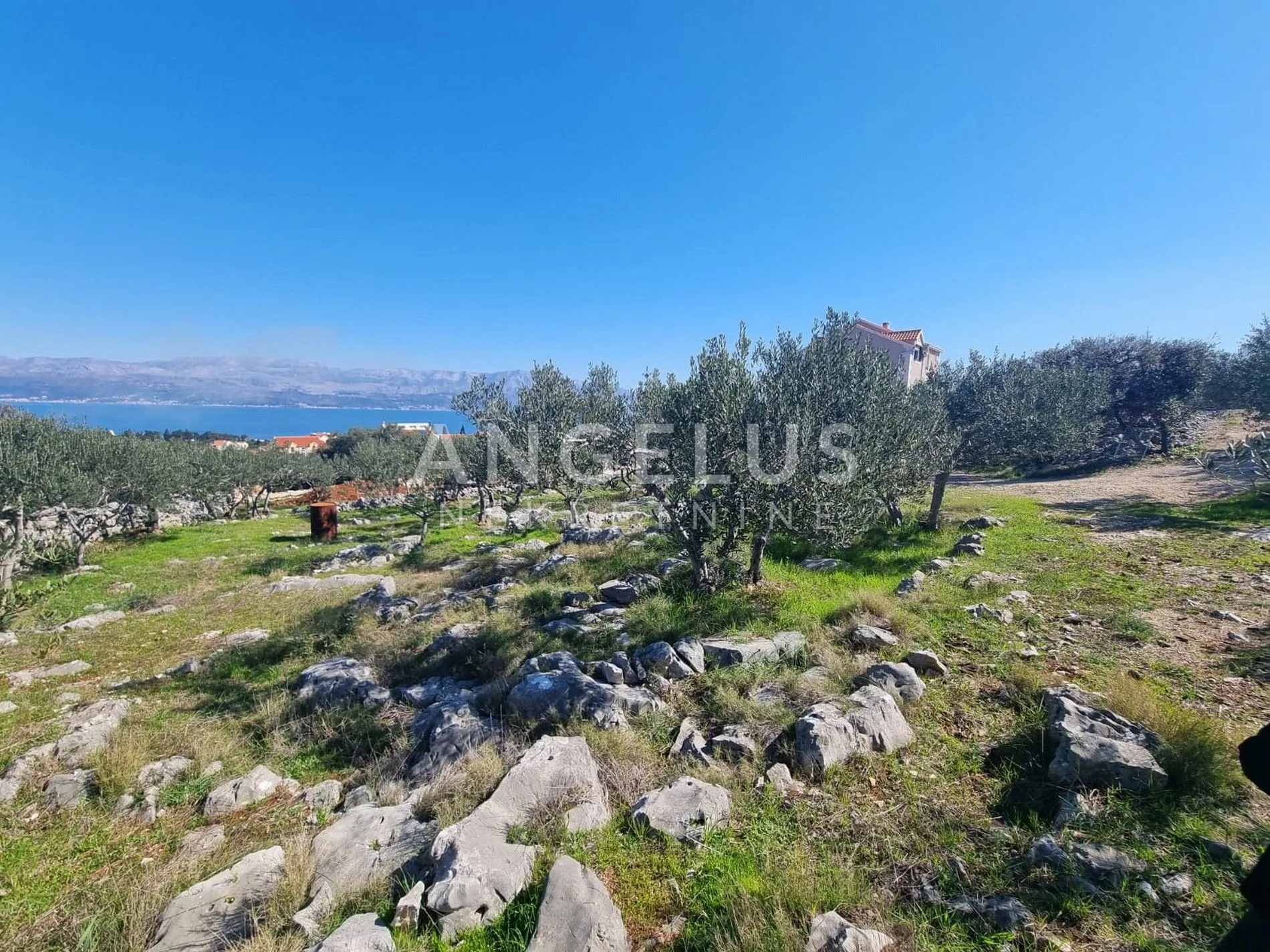 brač, supetar - građ. zemljište s pogledom na more - 927 m2 - slika 2