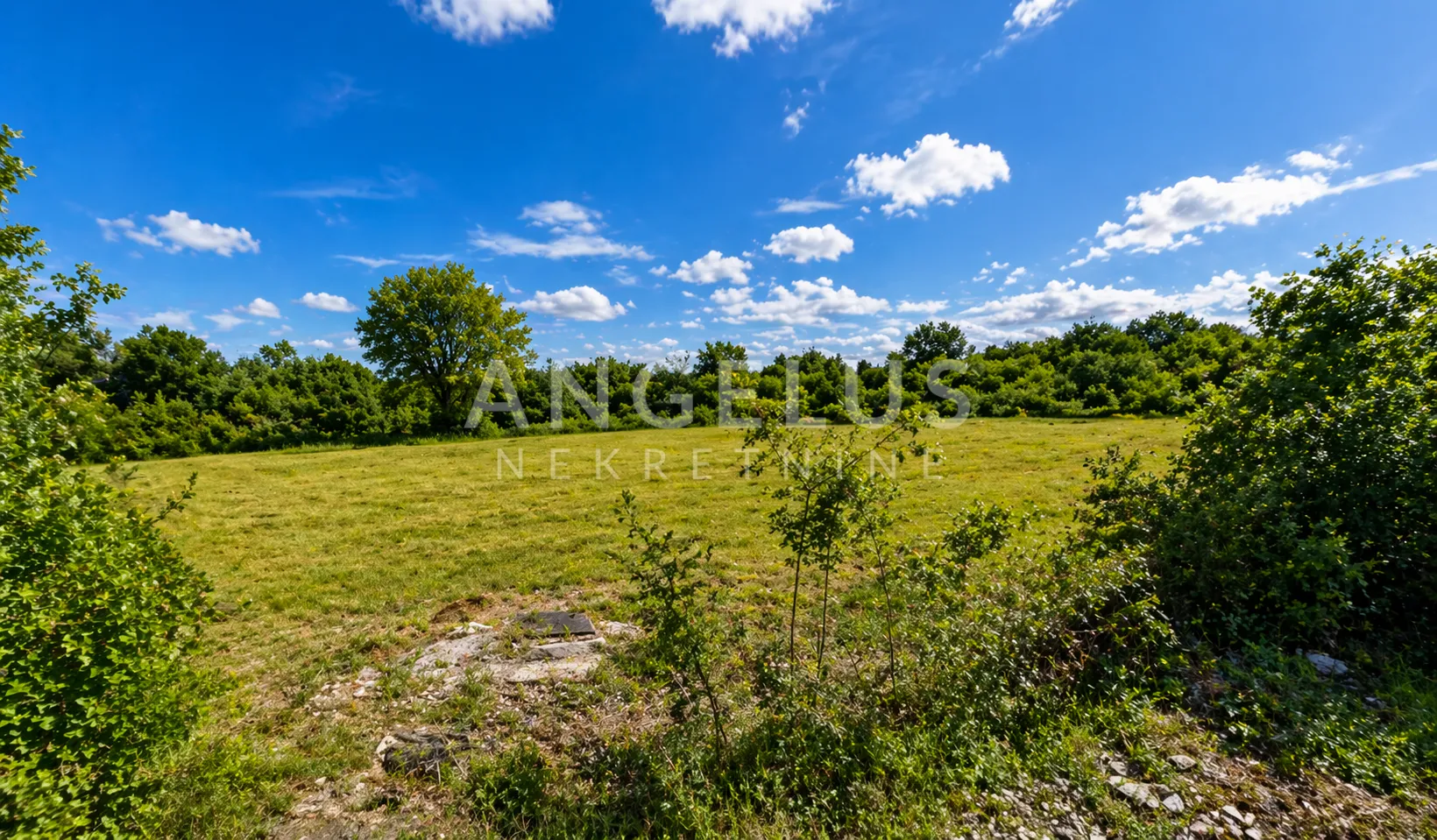 istra, baderna - poljoprivredno zemljište 3750m2 - slika 2