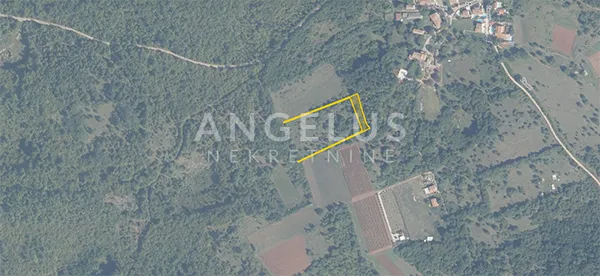 istra, višnjan - 4 zemljišta, 13.448 m2 - slika 2