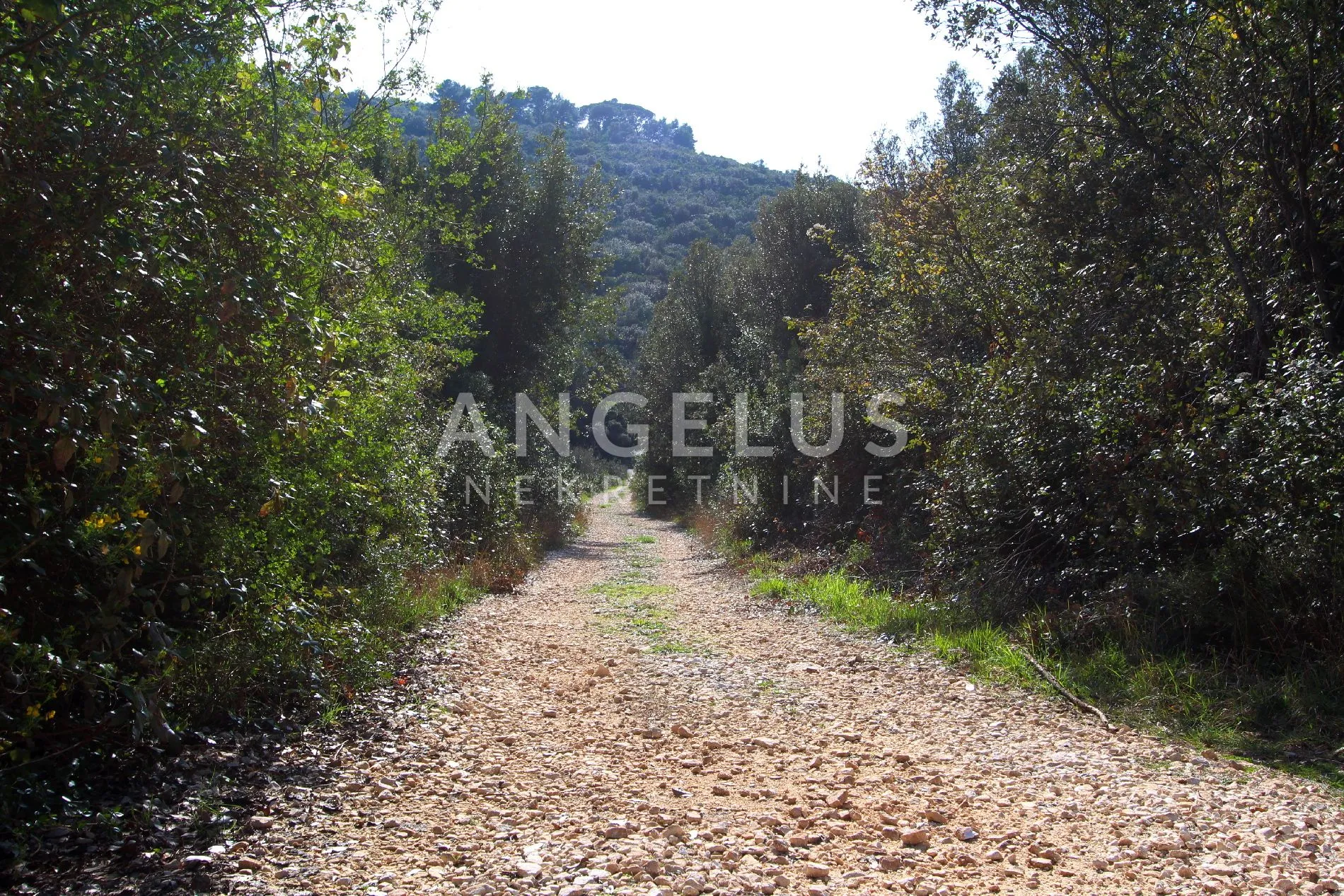 pelješac, duba stonska - građevinsko zemljište, 1500 m2 - slika 13