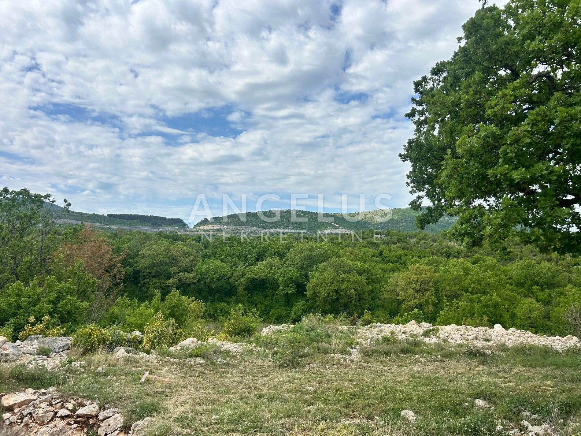 trolokve - poljoprivredno zem sa kamenom kućom, 26.000 m2, prodaja - slika 11