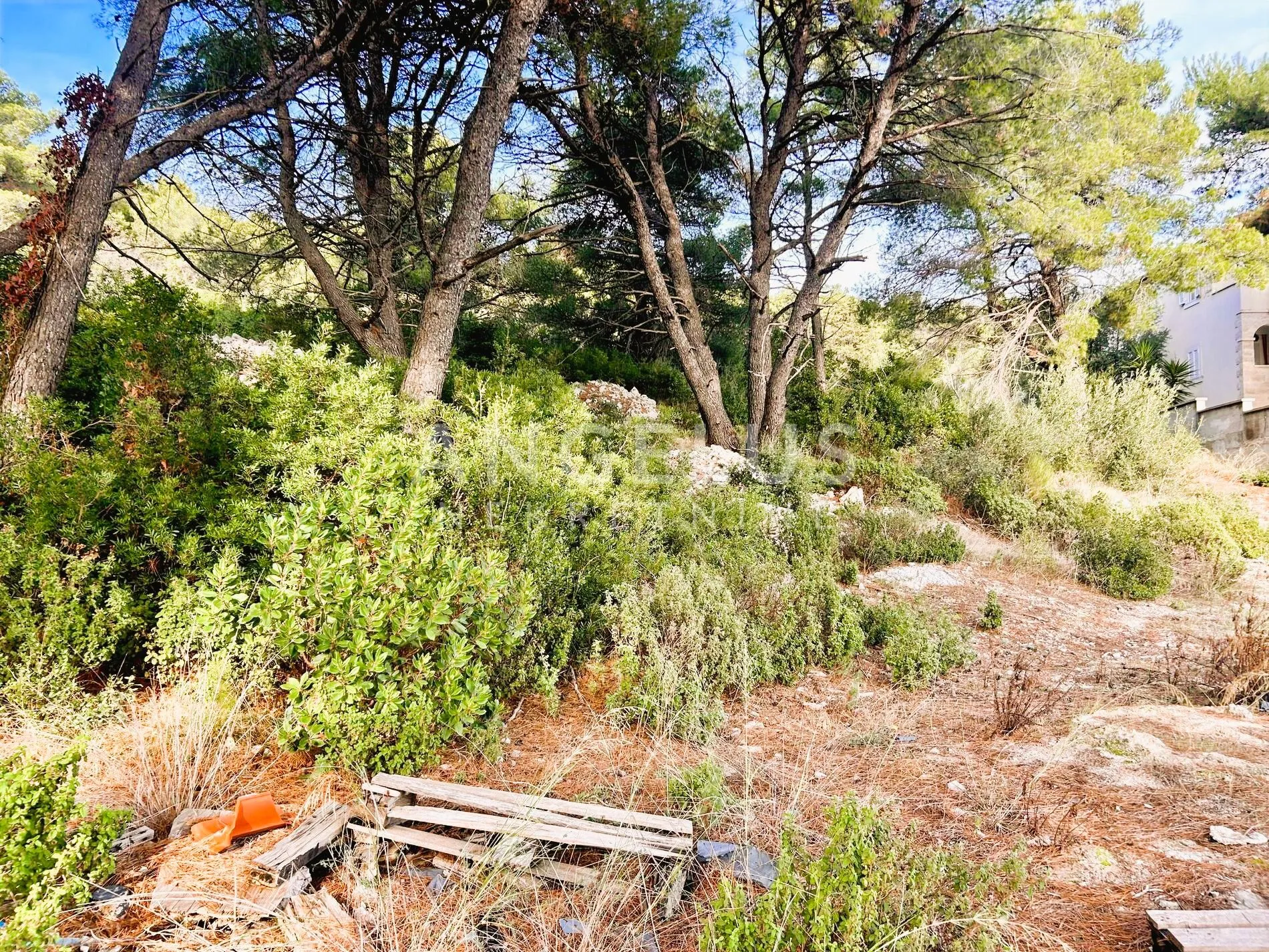 brač, sumartin - građ.zem. sa pogledom na more, prodaja - slika 19