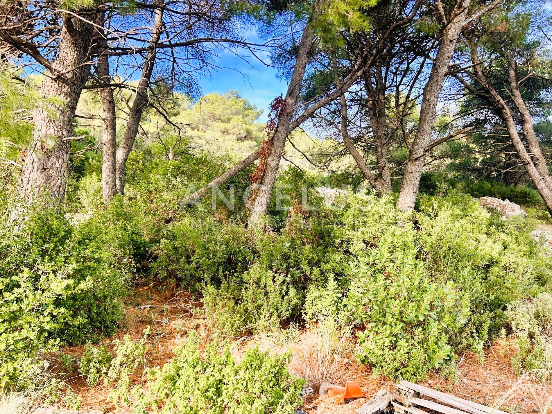 brač, sumartin - građ.zem. sa pogledom na more, prodaja - slika 20