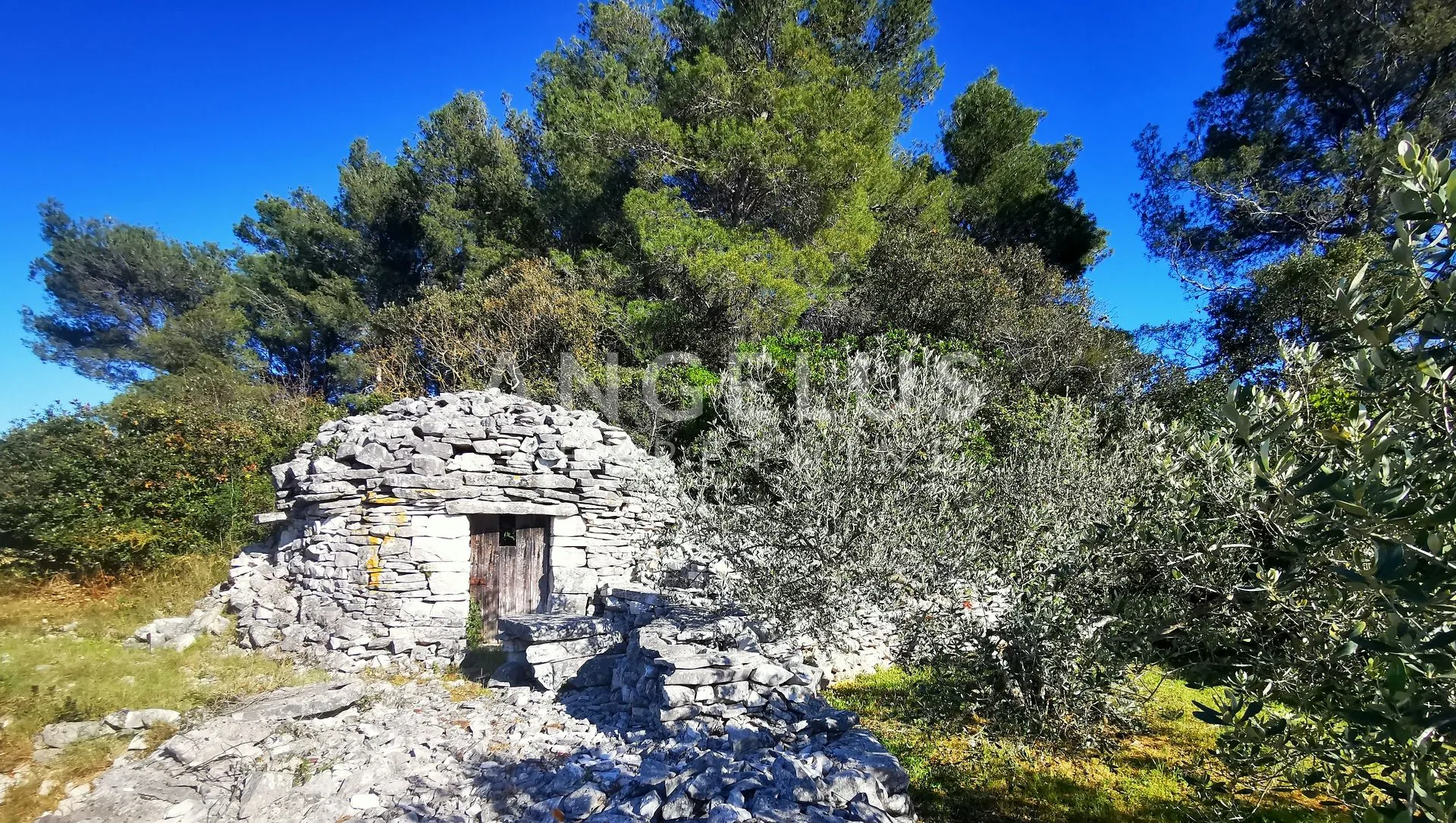 šolta, nečujam - građ.zemljište sa pogledom na more, 5100 m2 - slika 7