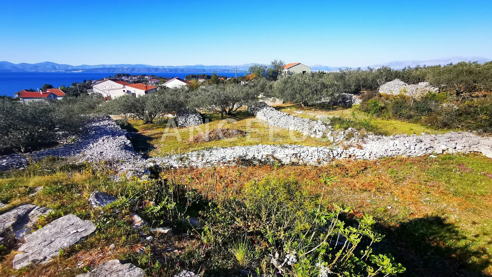 šolta, nečujam - građ.zemljište sa pogledom na more, 5100 m2 - slika 13