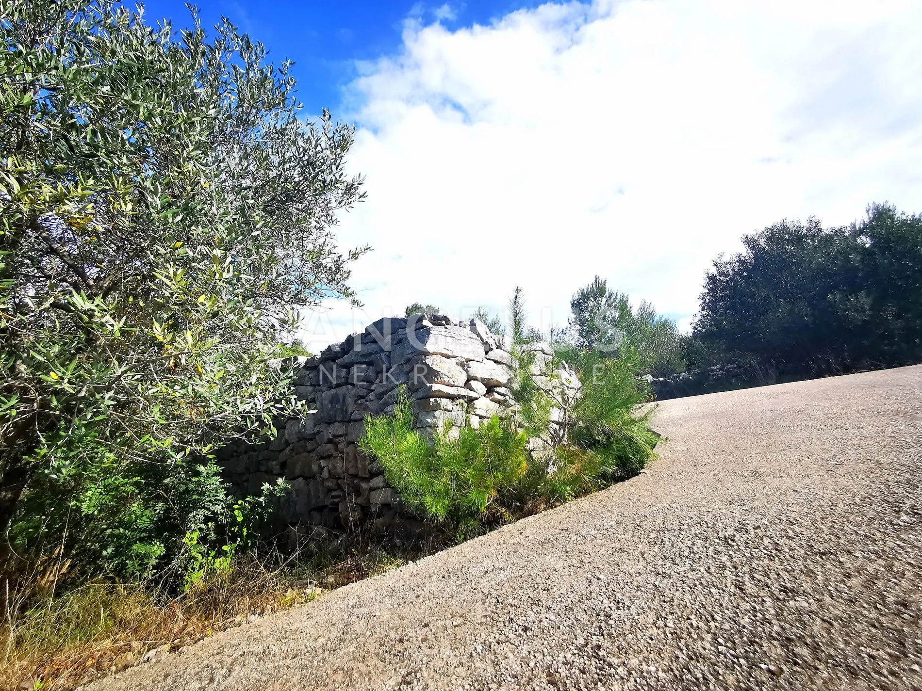 šolta, nečujam- građ.zemljište u centru mjesta, 8000m2, prodaja - slika 7