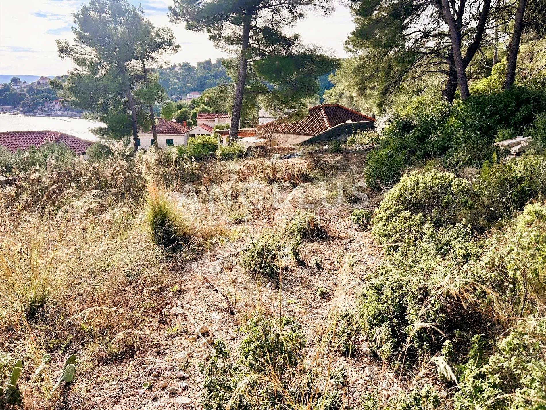 brač, sumartin - građ.zem. sa pogledom na more, prodaja - slika 3