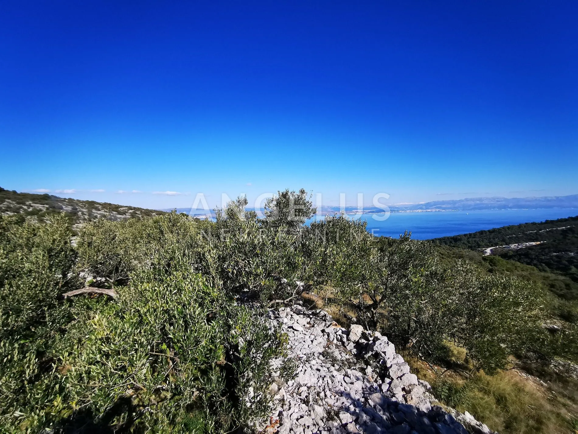 šolta - uređeni maslinik sa pogledom na more, 4800 m2 - slika 14