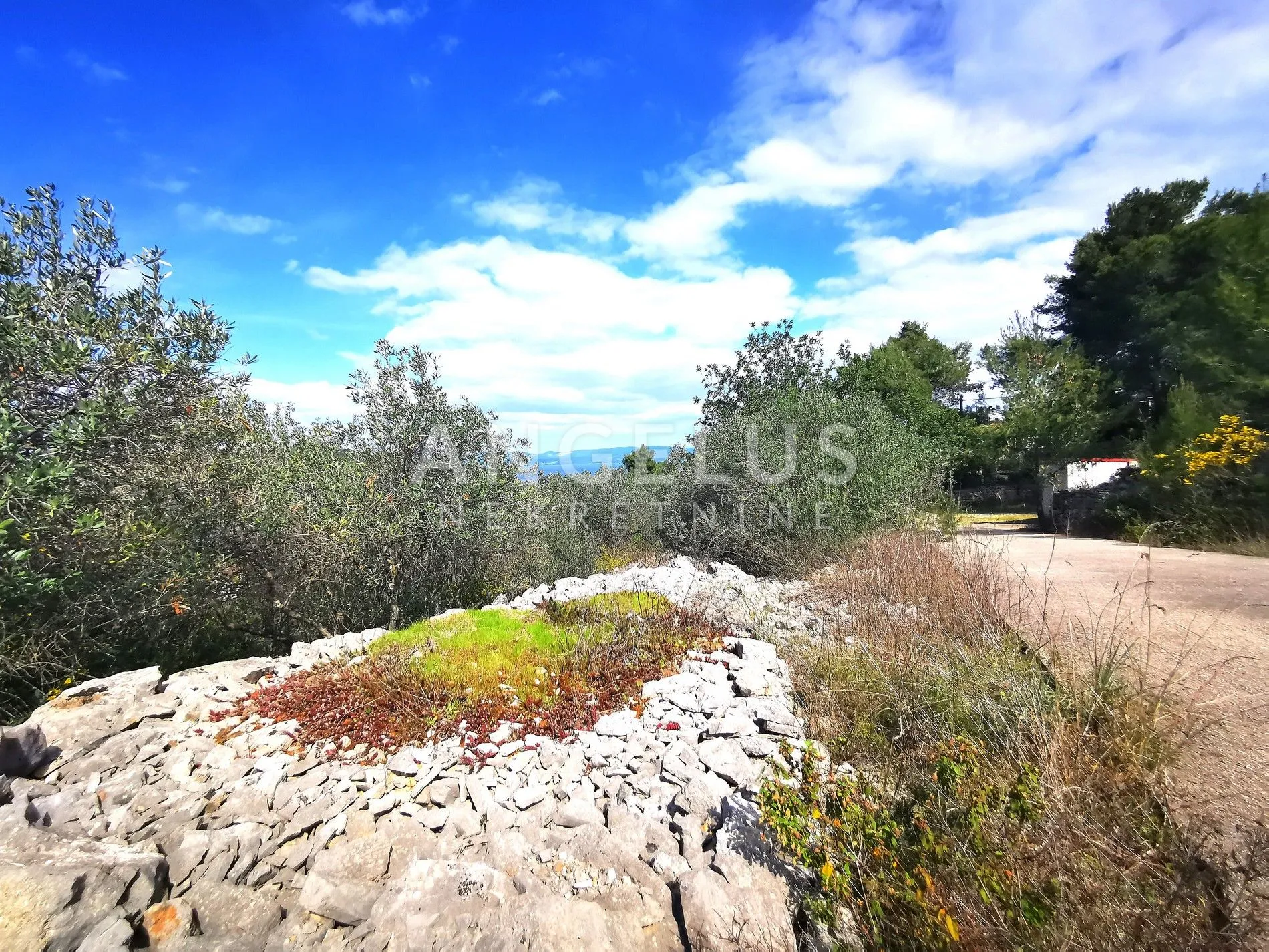šolta, nečujam- građ.zemljište u centru mjesta, 8000m2, prodaja - slika 8