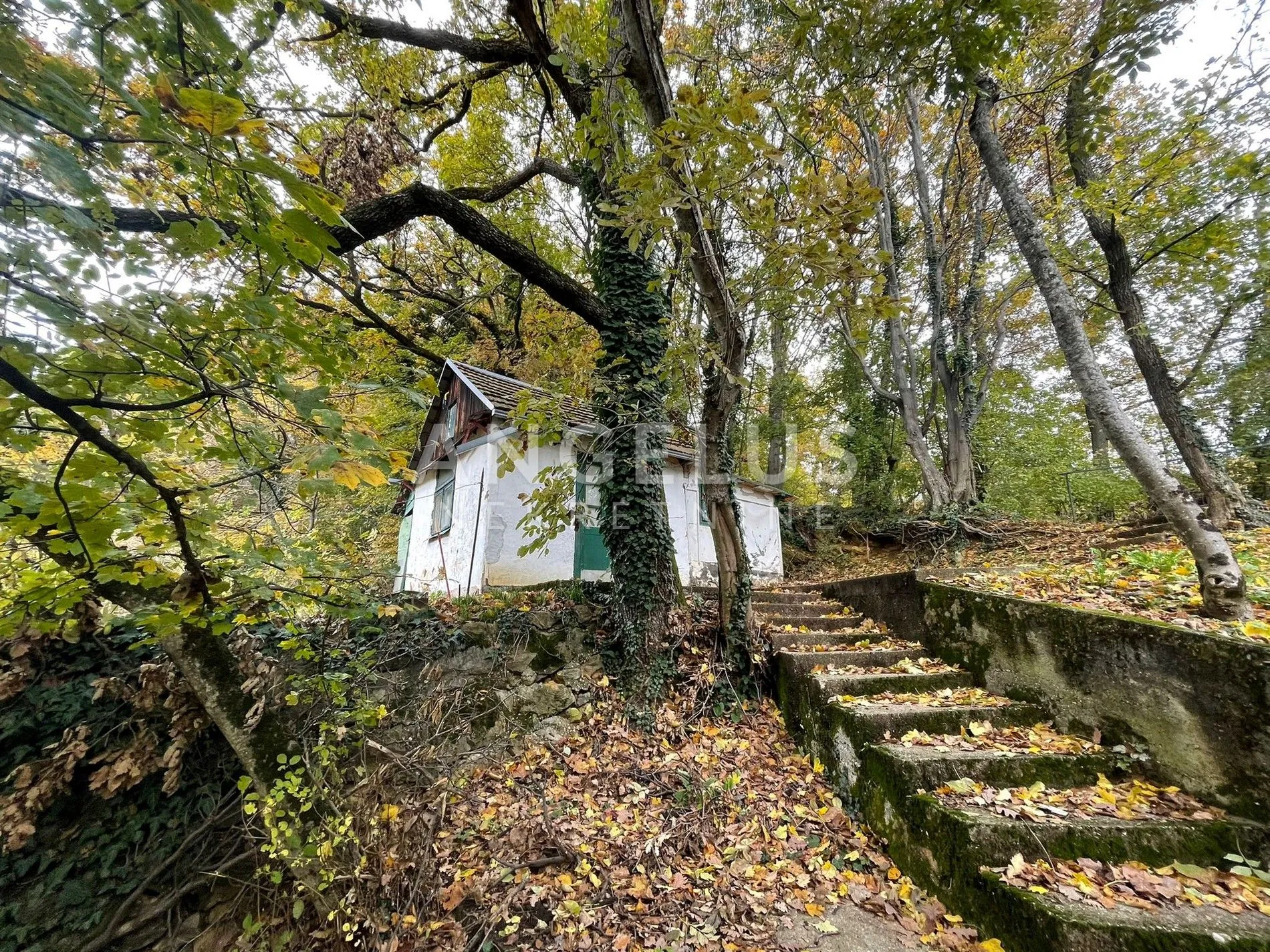 Zagreb, Gračani - parcela sa voćnjakom i kleti PRODAJA