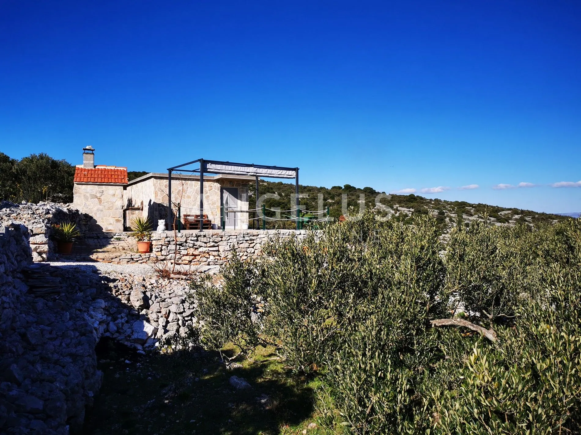 šolta - uređeni maslinik sa pogledom na more, 4800 m2 - slika 15