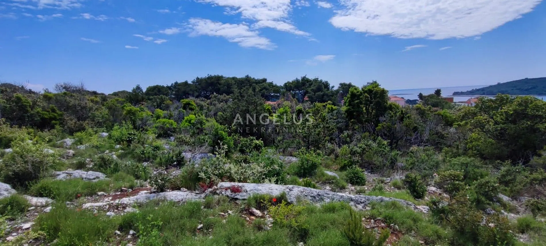 šolta, maslinica - građevinsko zemljište s pogledom na more - slika 9