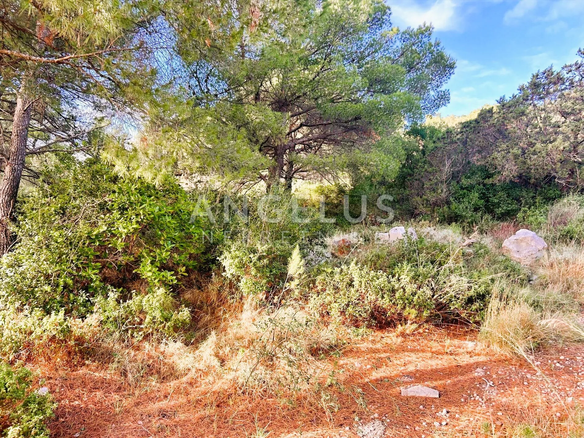 brač, sumartin - građ.zem. sa pogledom na more, prodaja - slika 35