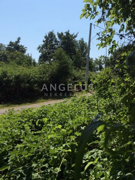 opatija, veprinac - građevinsko zemljište 2640m2 s panoramskim pogledom na kvarnerski zaljev - slika 3